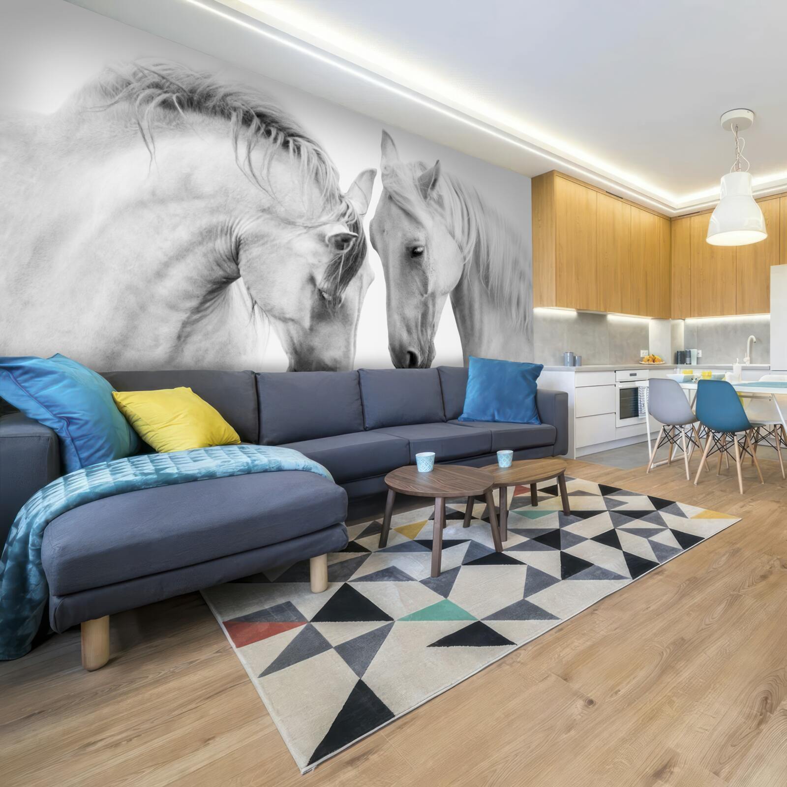 Fototapeta biele kone komunikujú