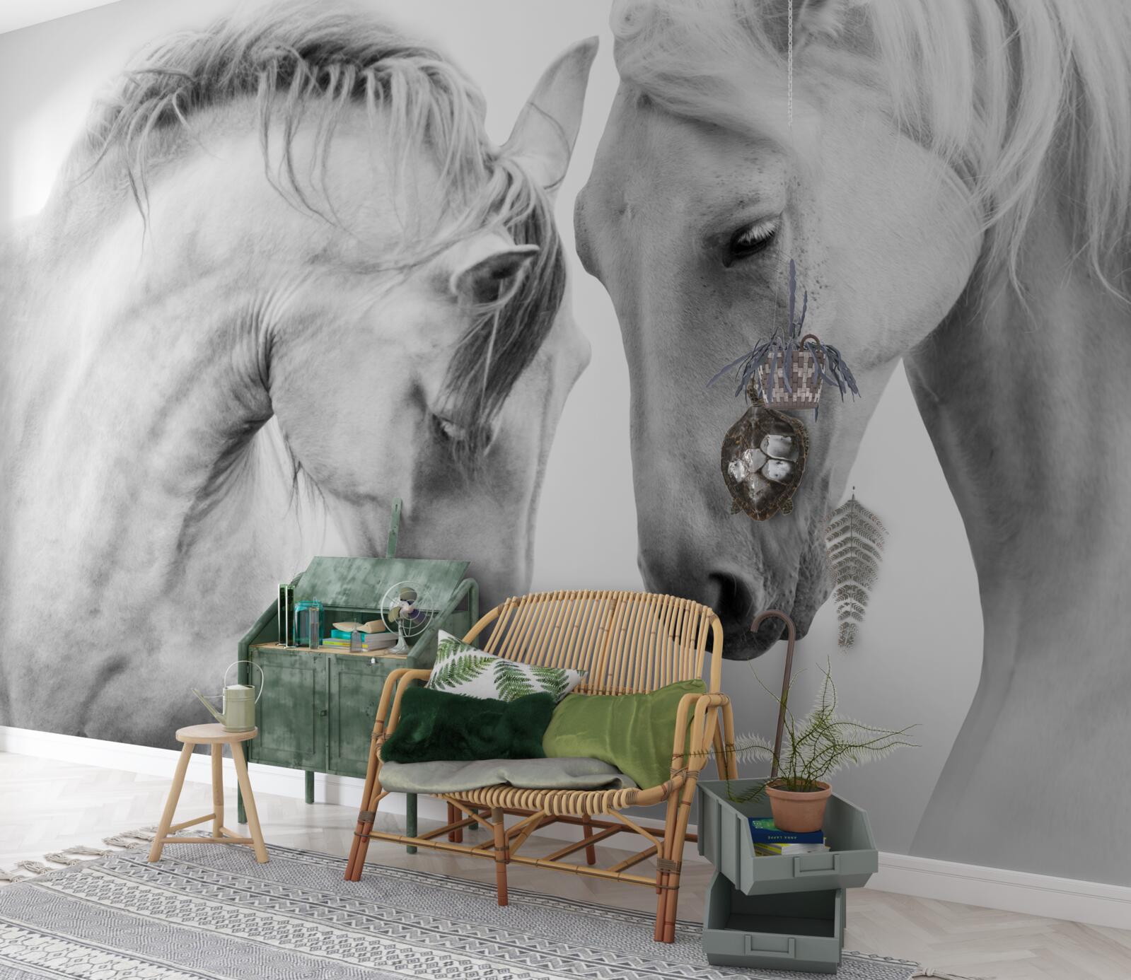 Fototapeta biele kone komunikujú