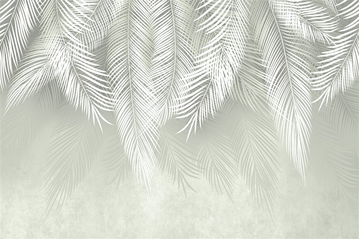 Fototapeta snehobiele, jemné a mäkké palmové listy