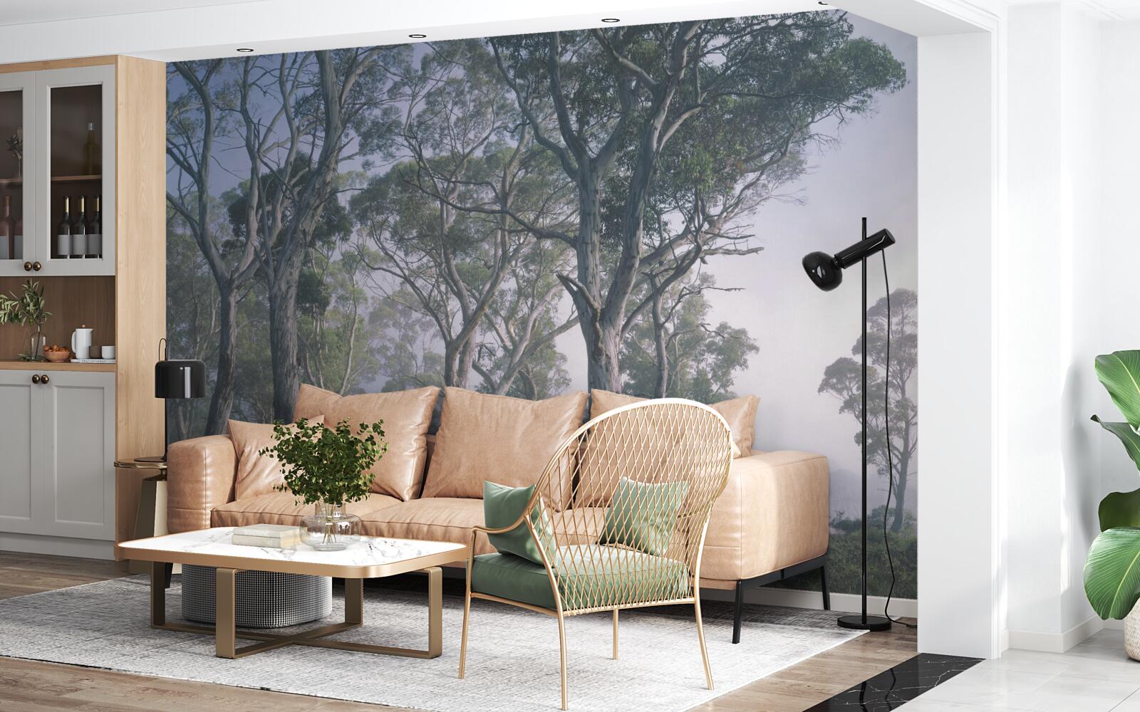 Fototapeta ráno sa prebúdza v hmlistom lese