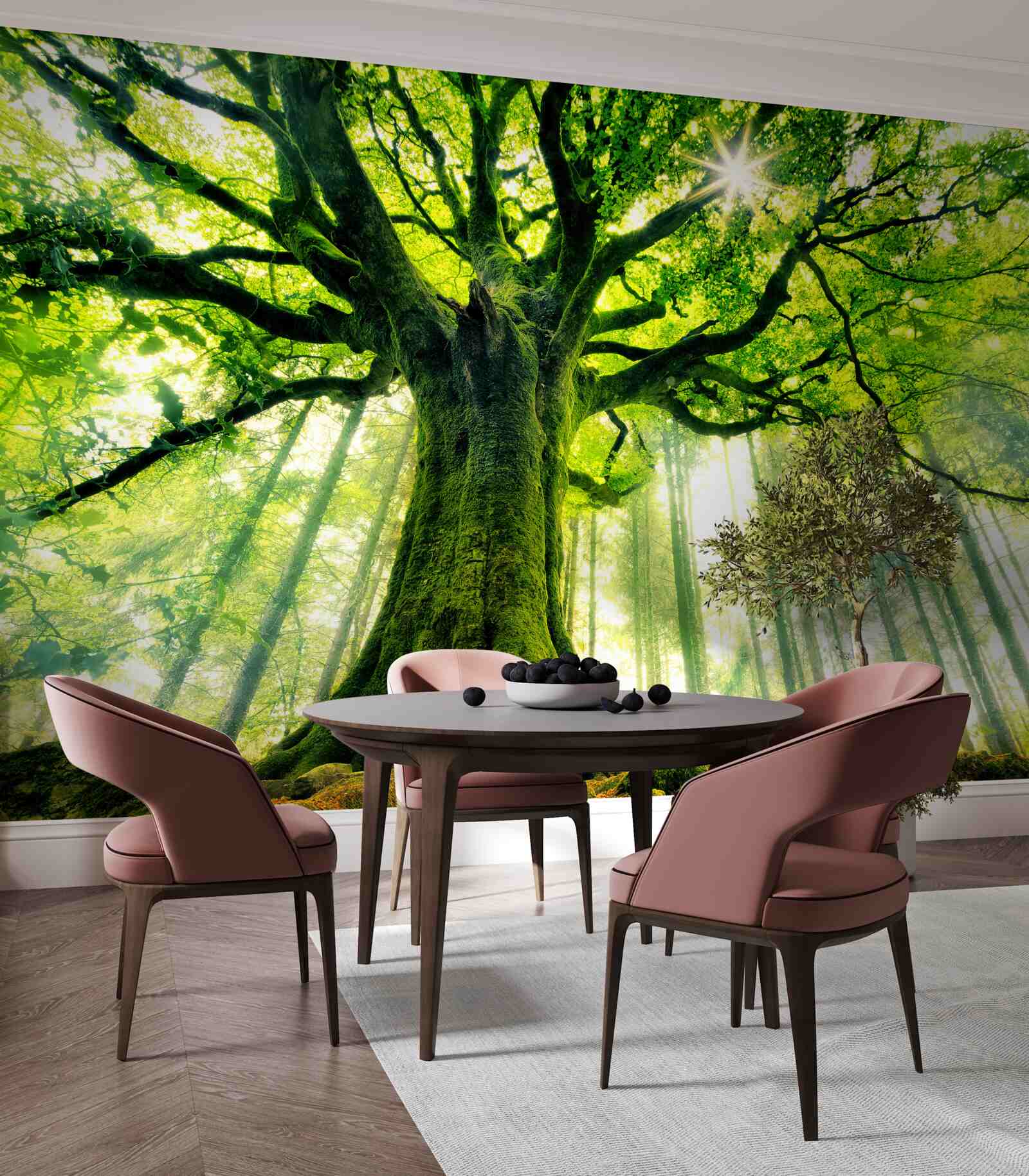 Fototapeta majestátny strom existencie víta východ slnka