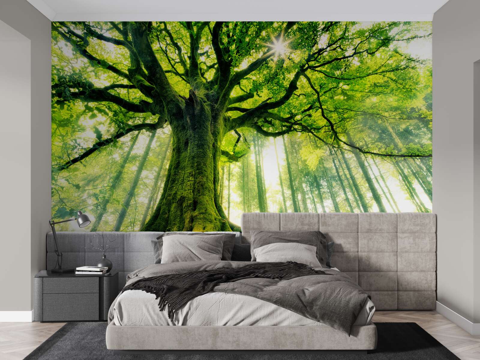 Fototapeta majestátny strom existencie víta východ slnka