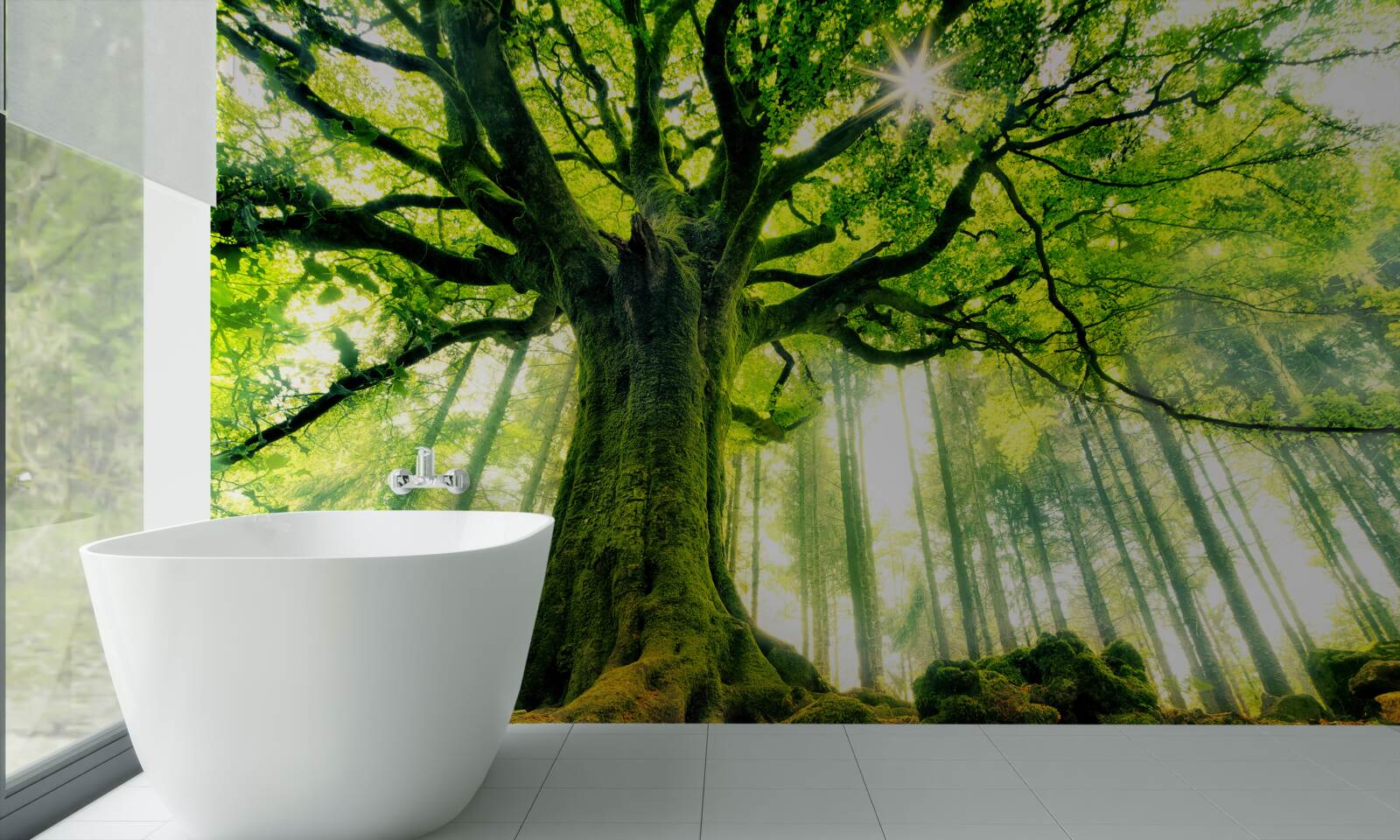 Fototapeta majestátny strom existencie víta východ slnka