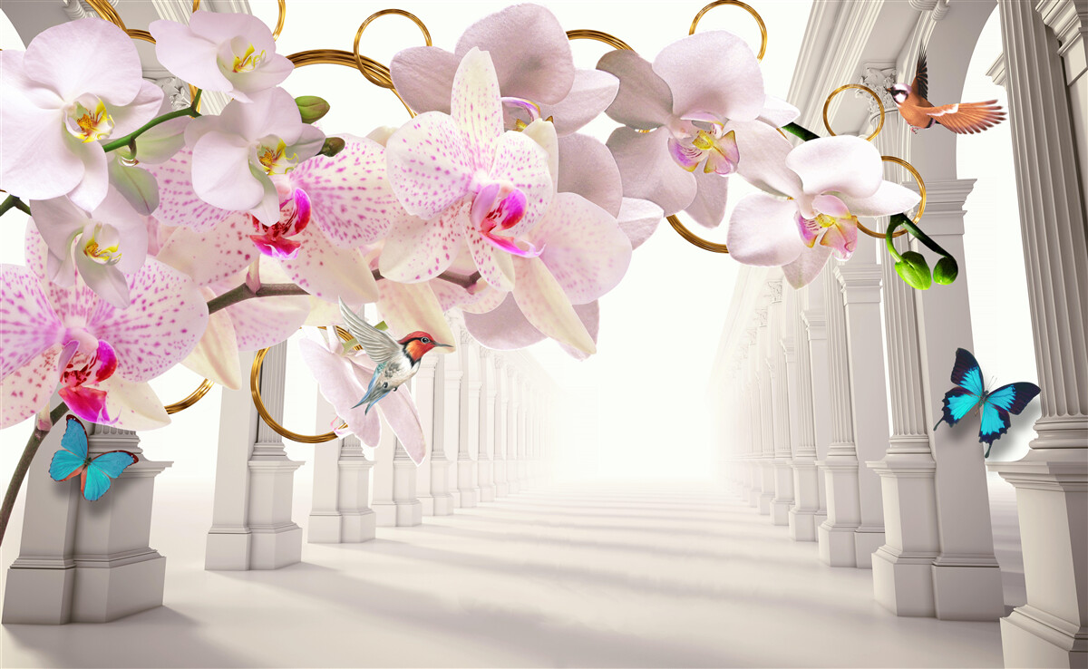 Fototapeta biele oblúky sú zdobené orchideami a motýľmi