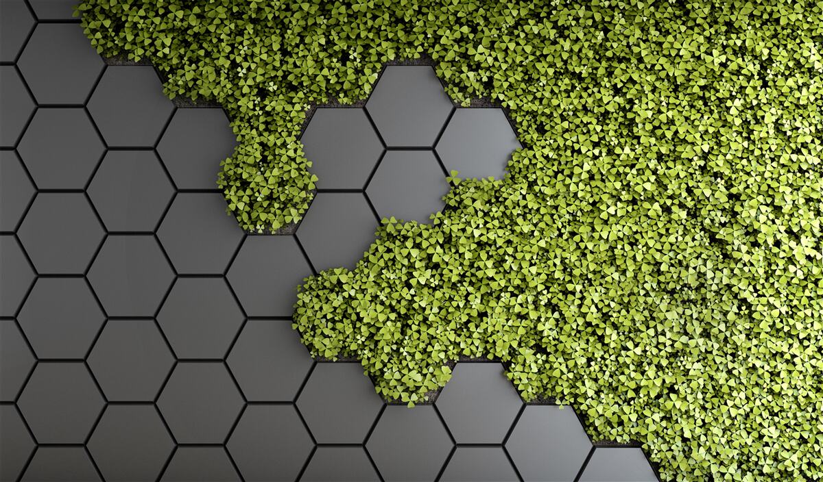 Fototapeta kamenárstvo je pokryté zeleným machom