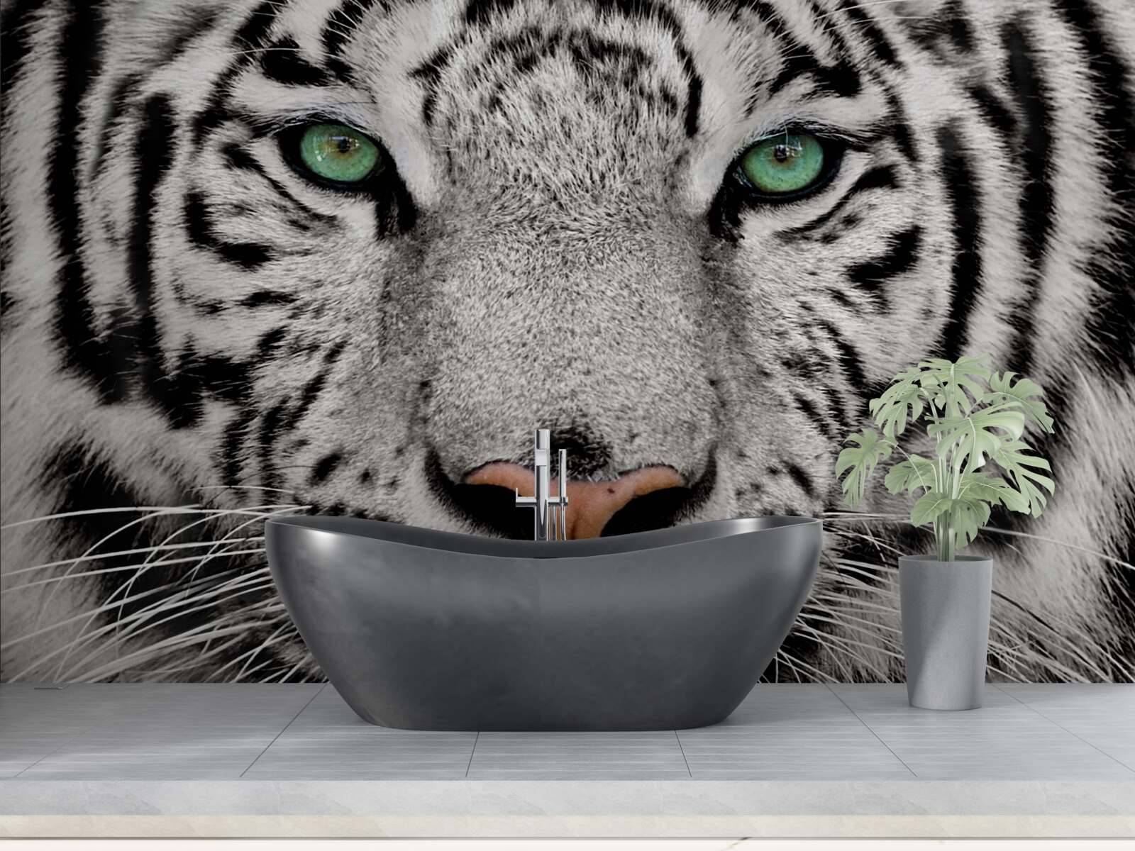 Fototapeta obraz bieleho tigra