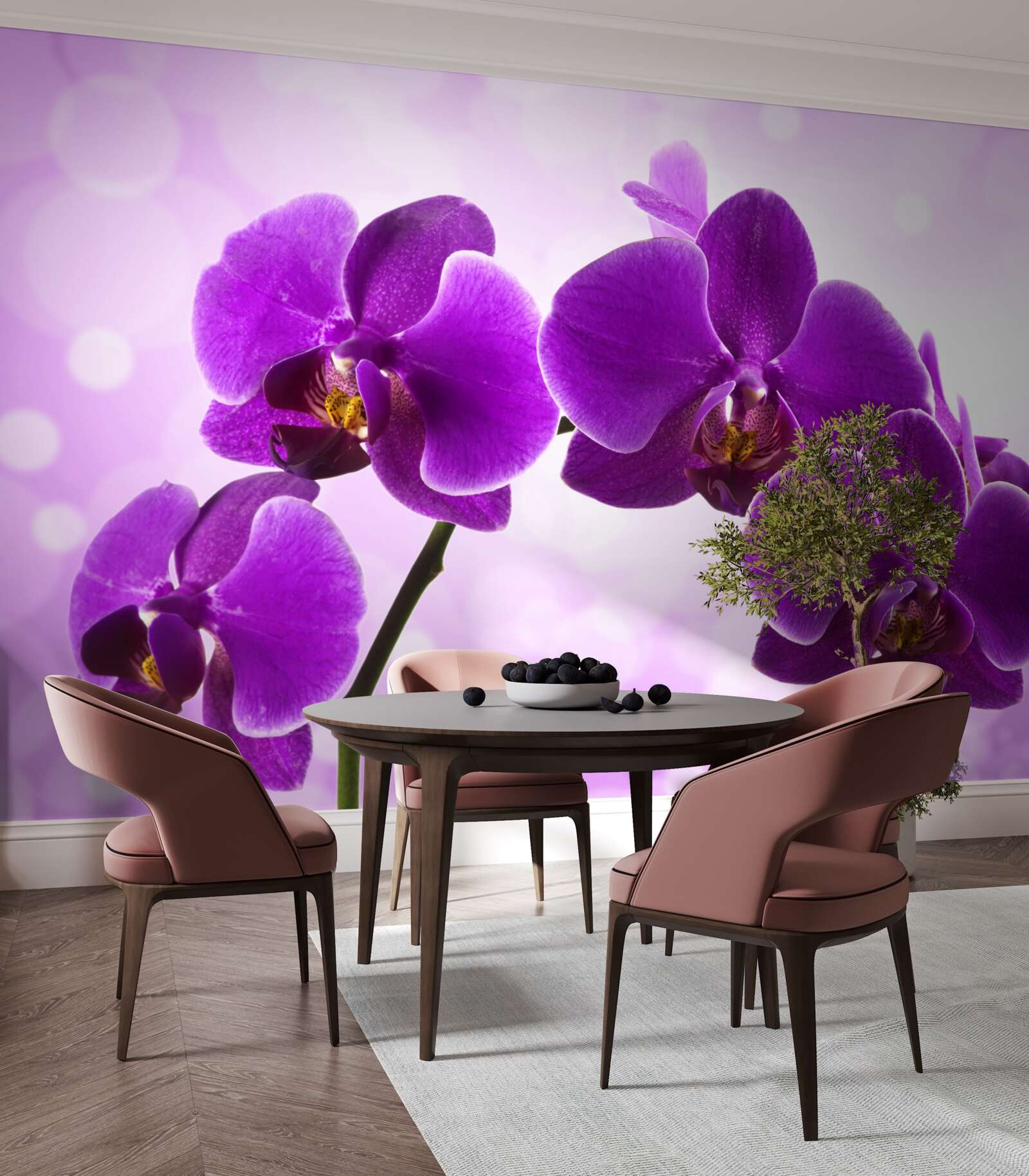 Fototapeta tmavofialová orchidea