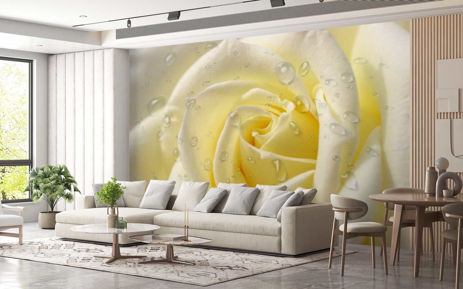 Fototapeta kvapky dažďa na žltej ruži