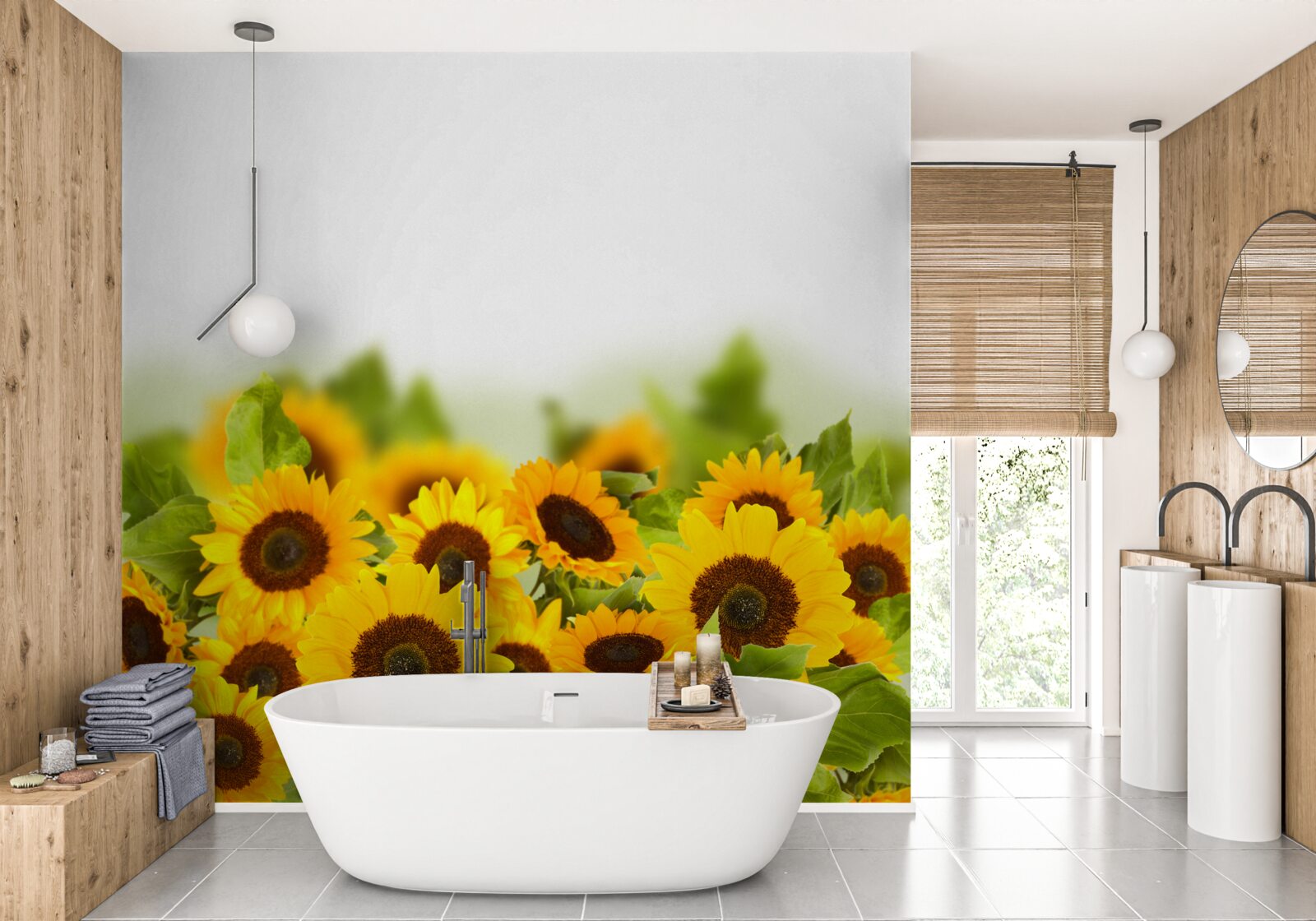 Fototapeta slnečnicové pole v mladosti