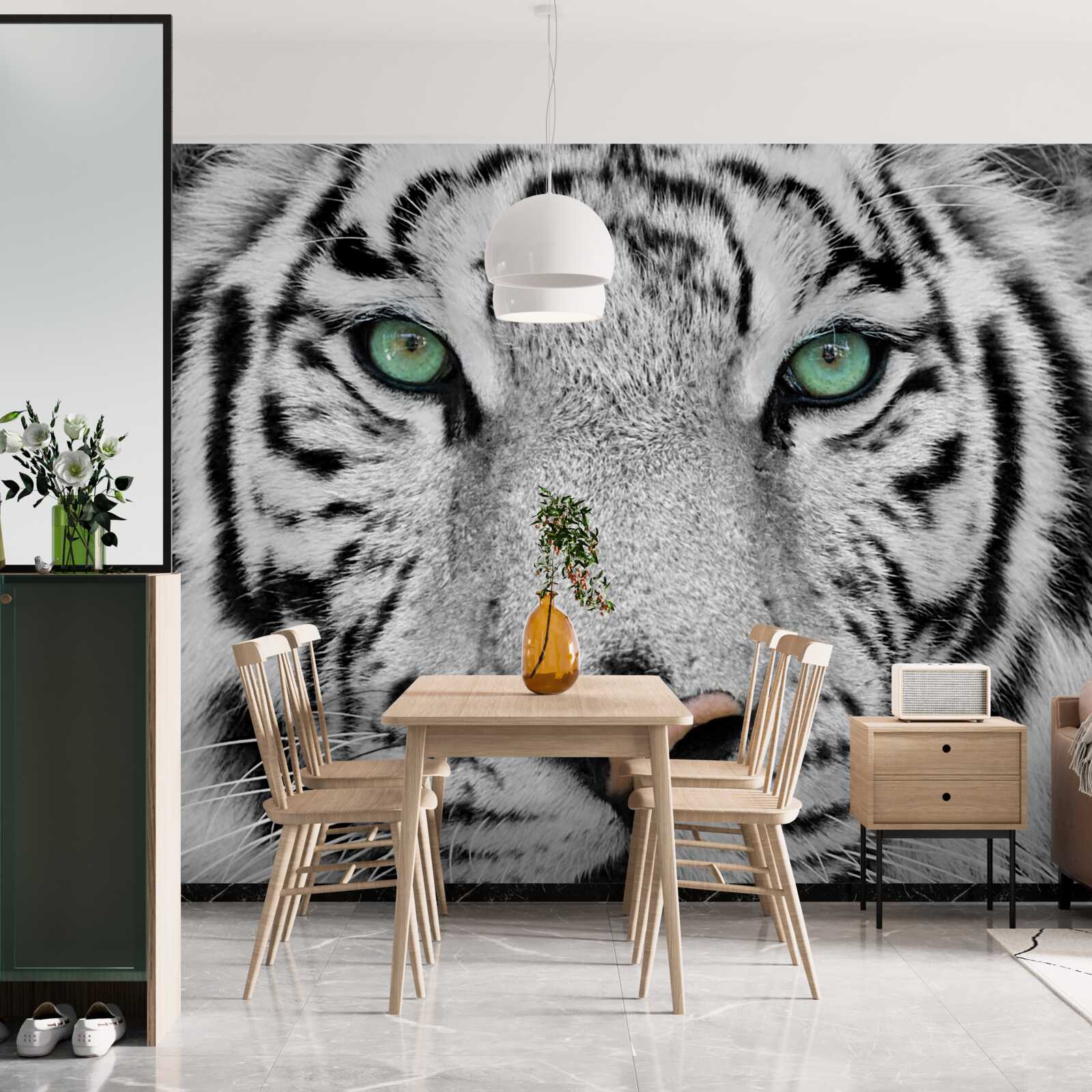 Fototapeta nádherný biely tiger