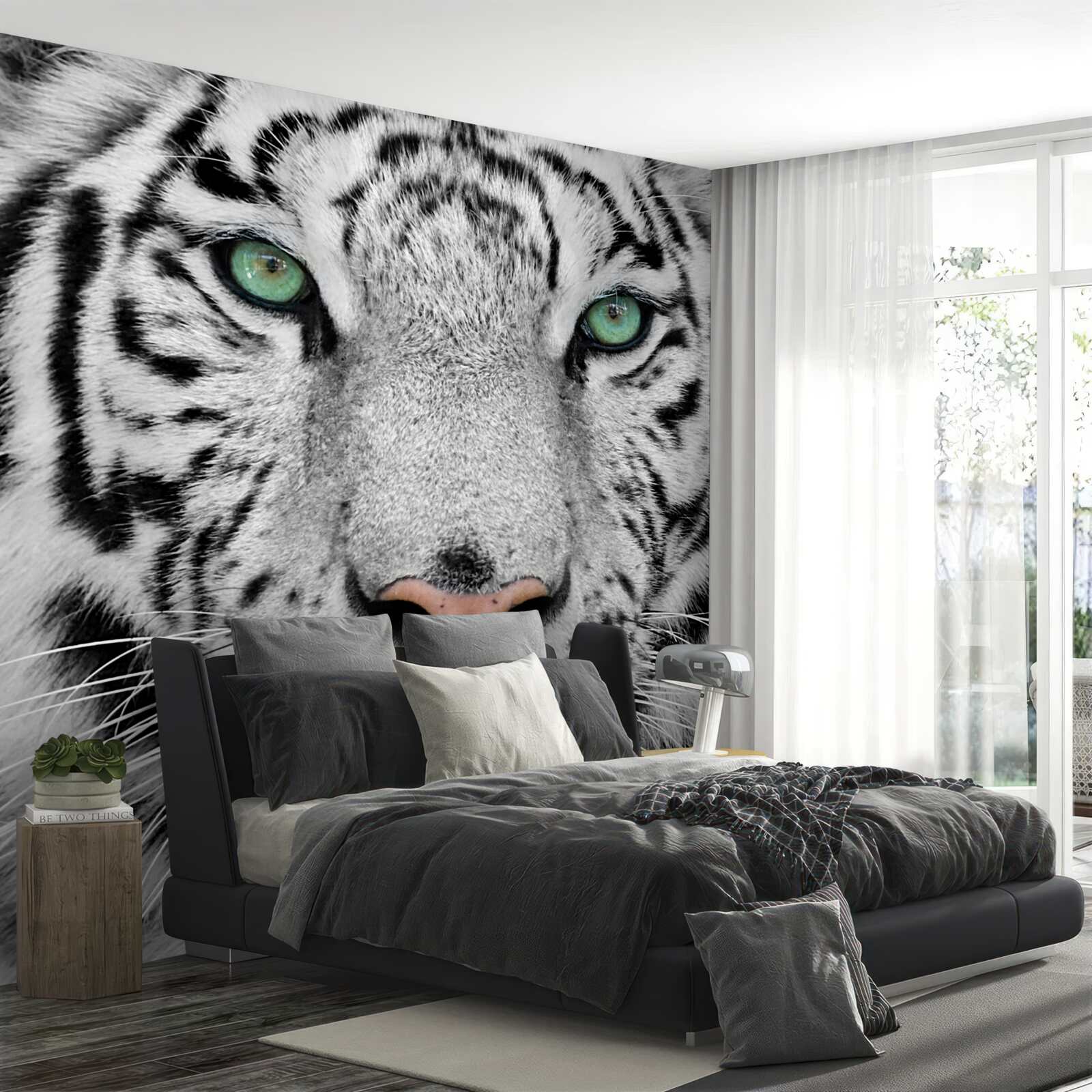 Fototapeta nádherný biely tiger