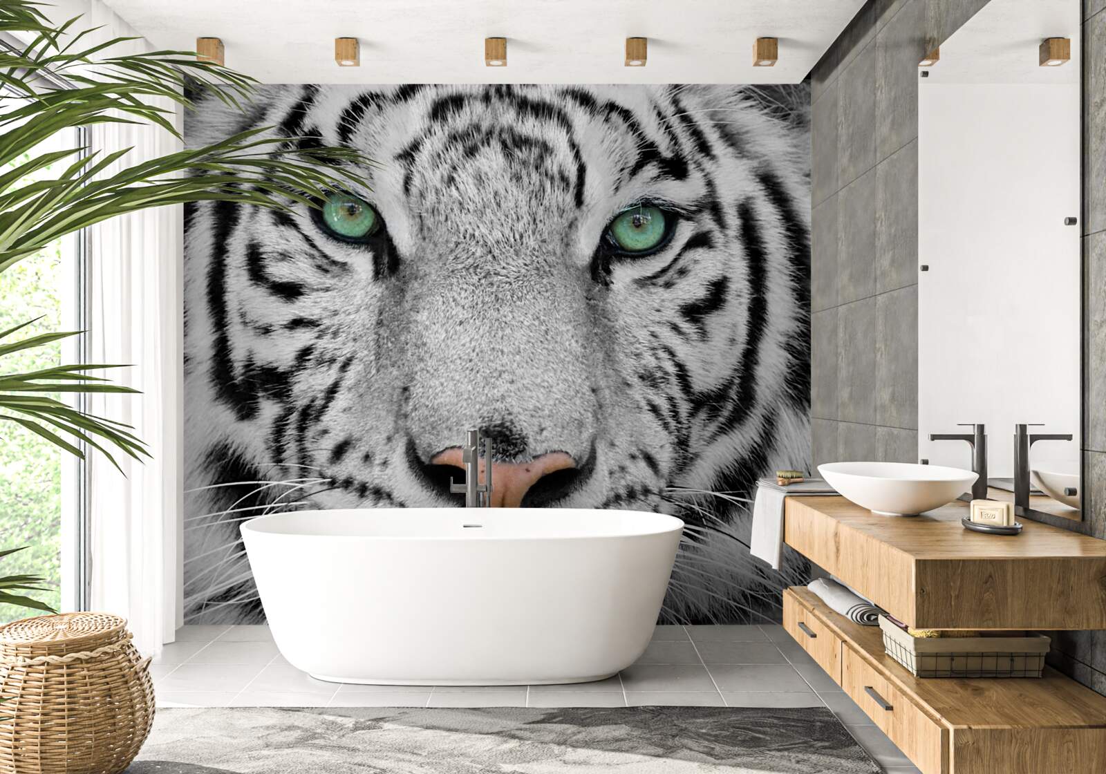 Fototapeta nádherný biely tiger