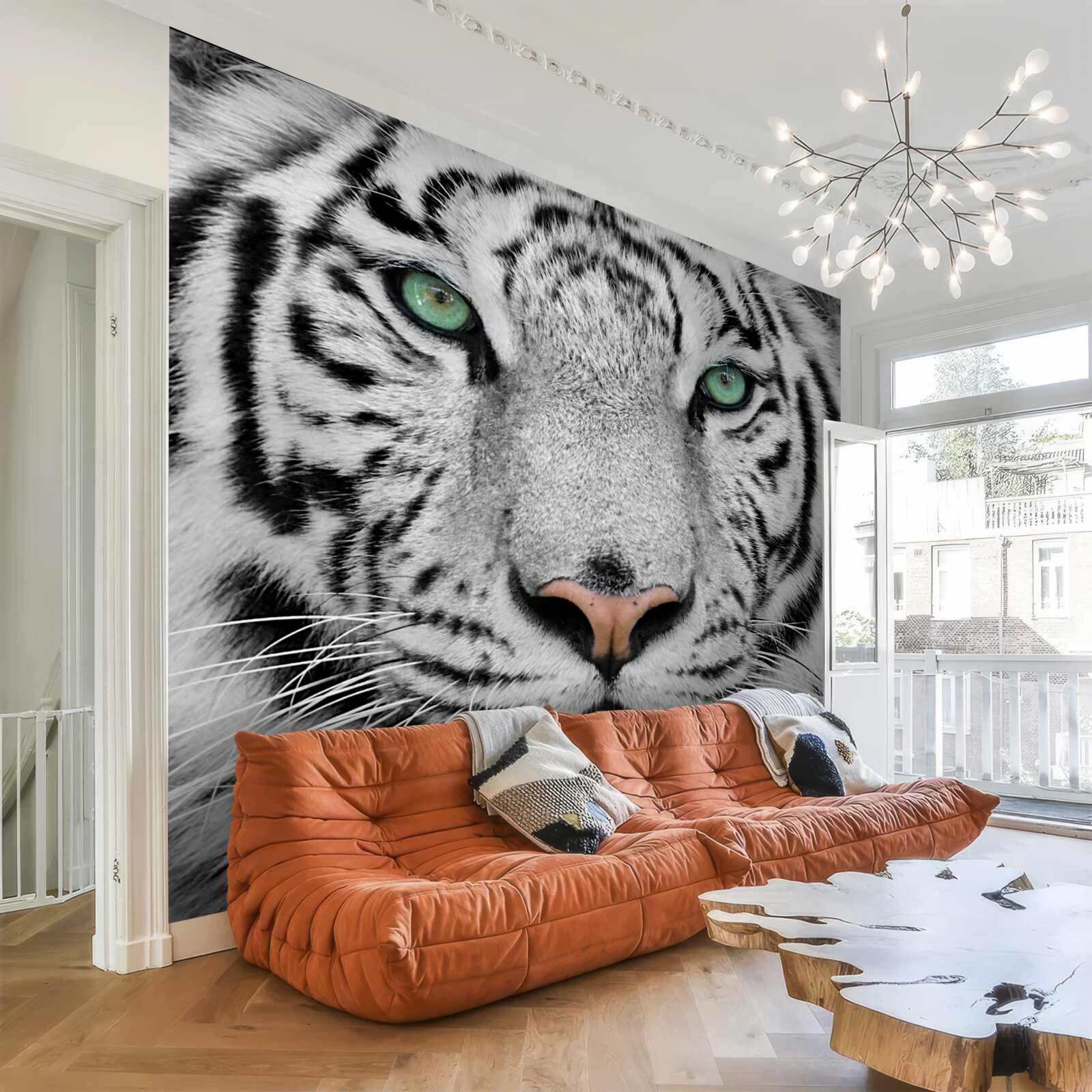 Fototapeta nádherný biely tiger