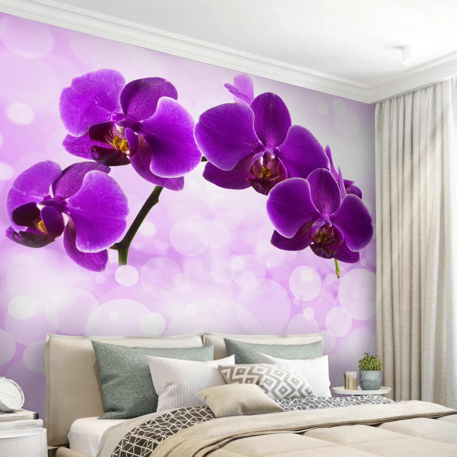 Fototapeta orchidey s tmavofialovými kvetmi