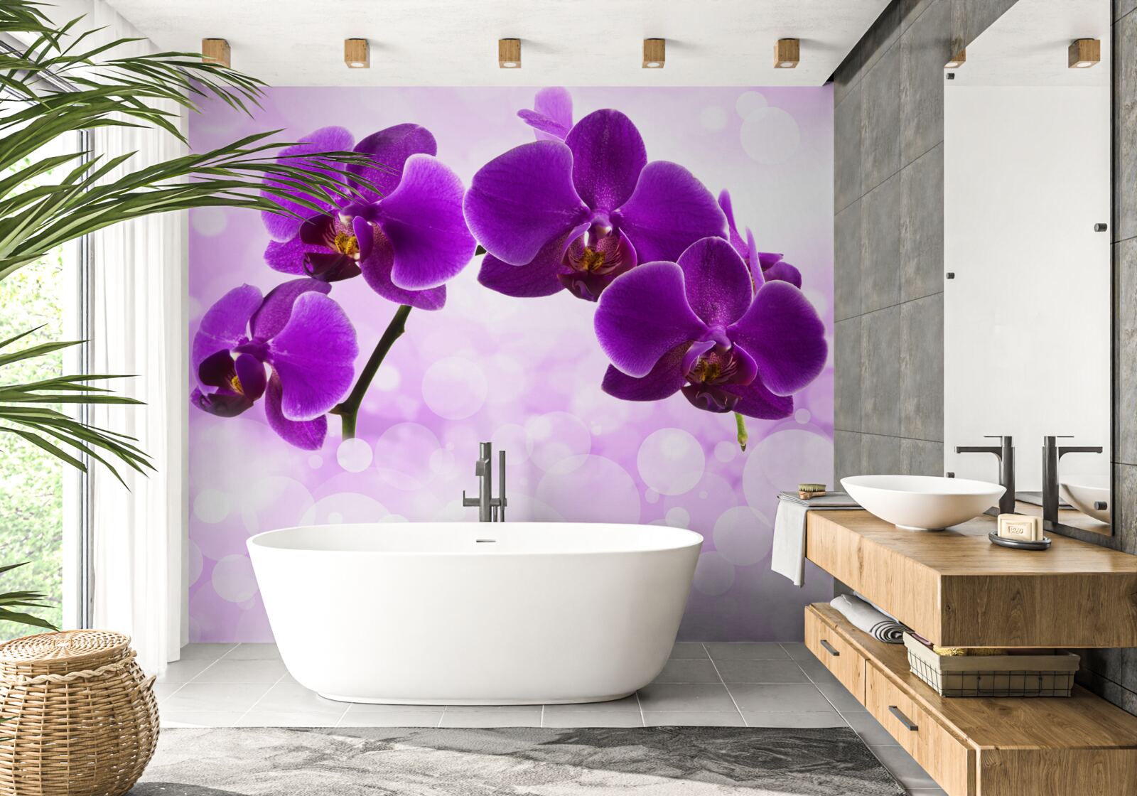 Fototapeta orchidey s tmavofialovými kvetmi