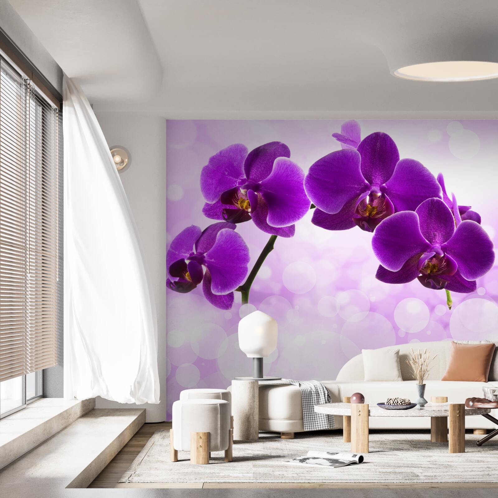 Fototapeta orchidey s tmavofialovými kvetmi