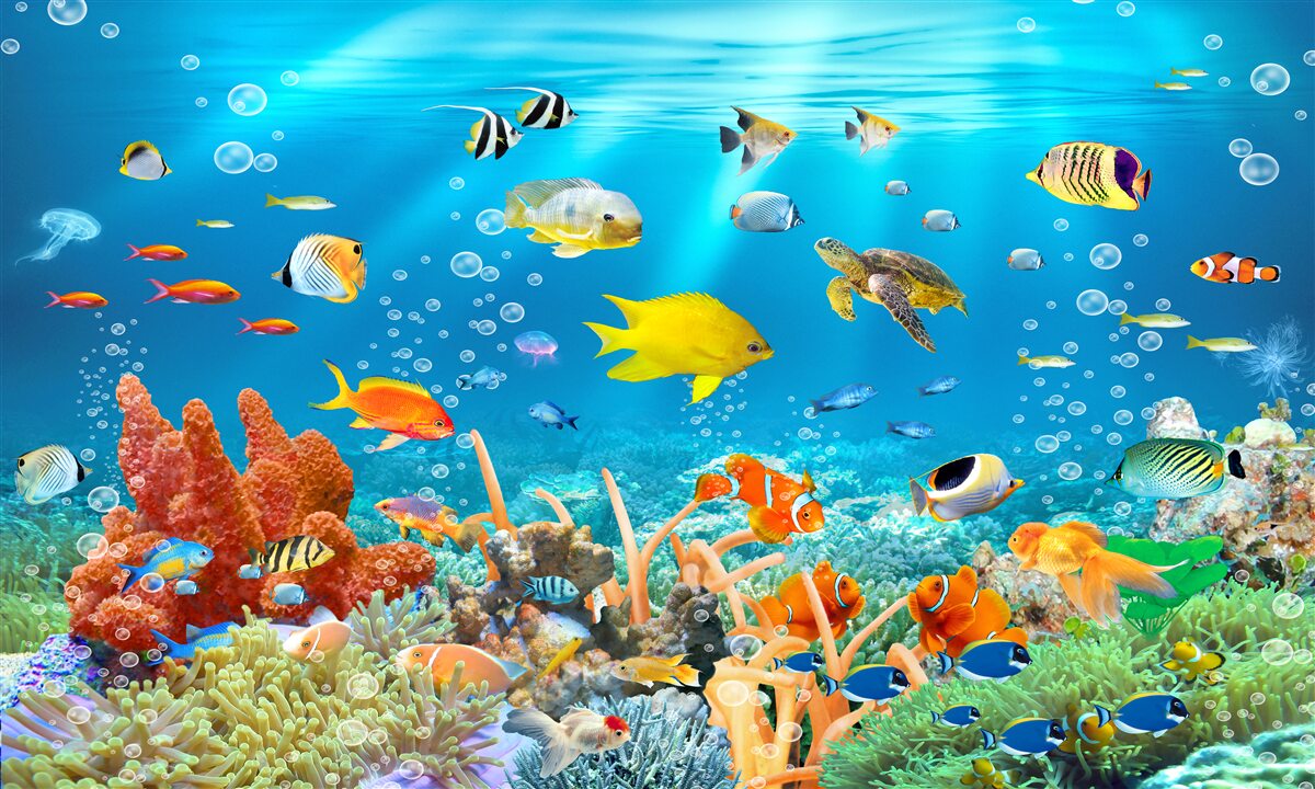 Fototapeta fascinujúci svet pod vodou