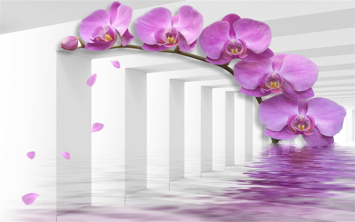 Fototapeta orgovánová orchidea na konári obklopená bielymi oblúkmi