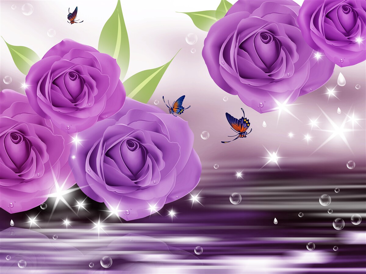 Fototapeta motýle a ruže sú tmavofialové lila