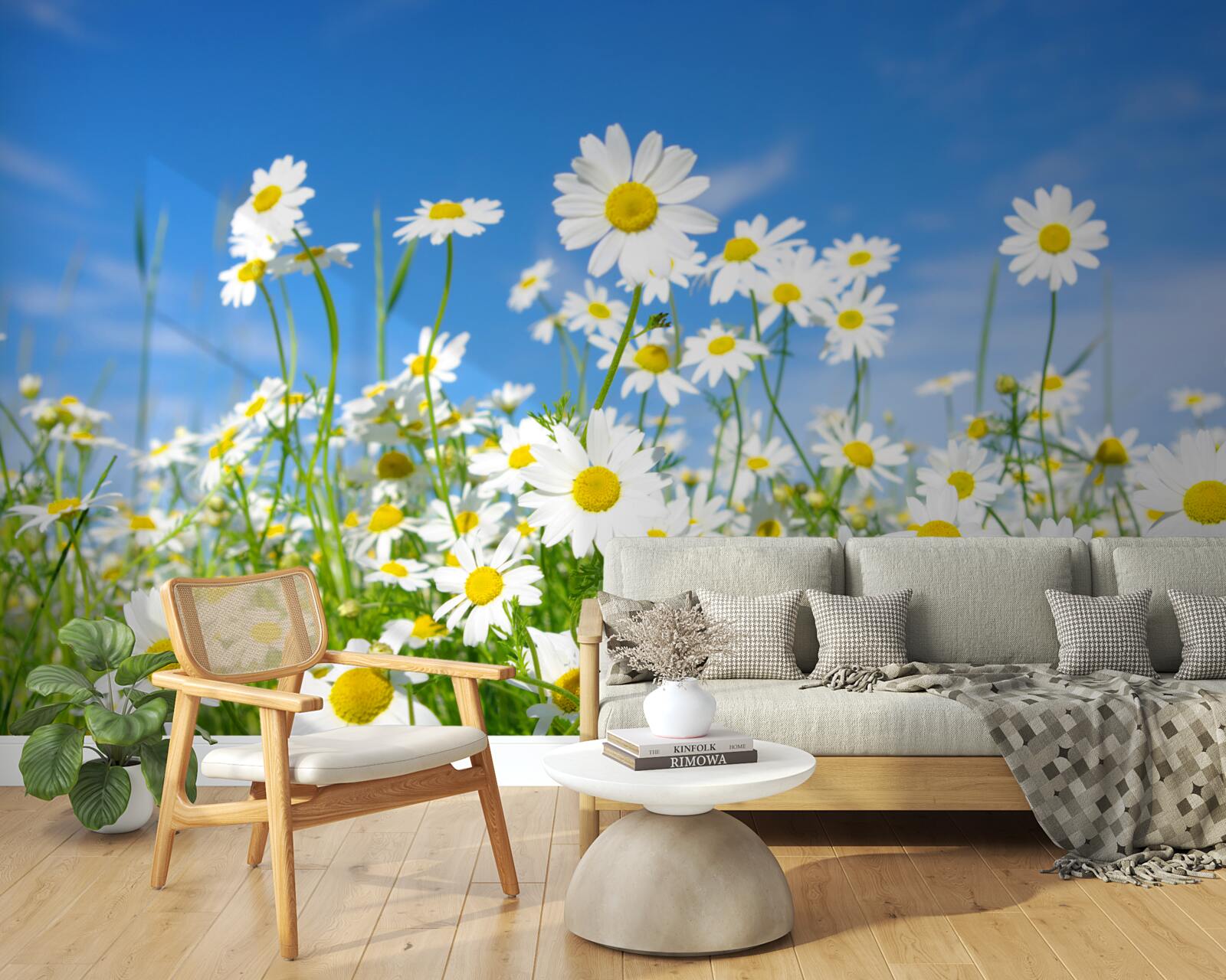 Fototapeta harmanček na lúke v letný deň