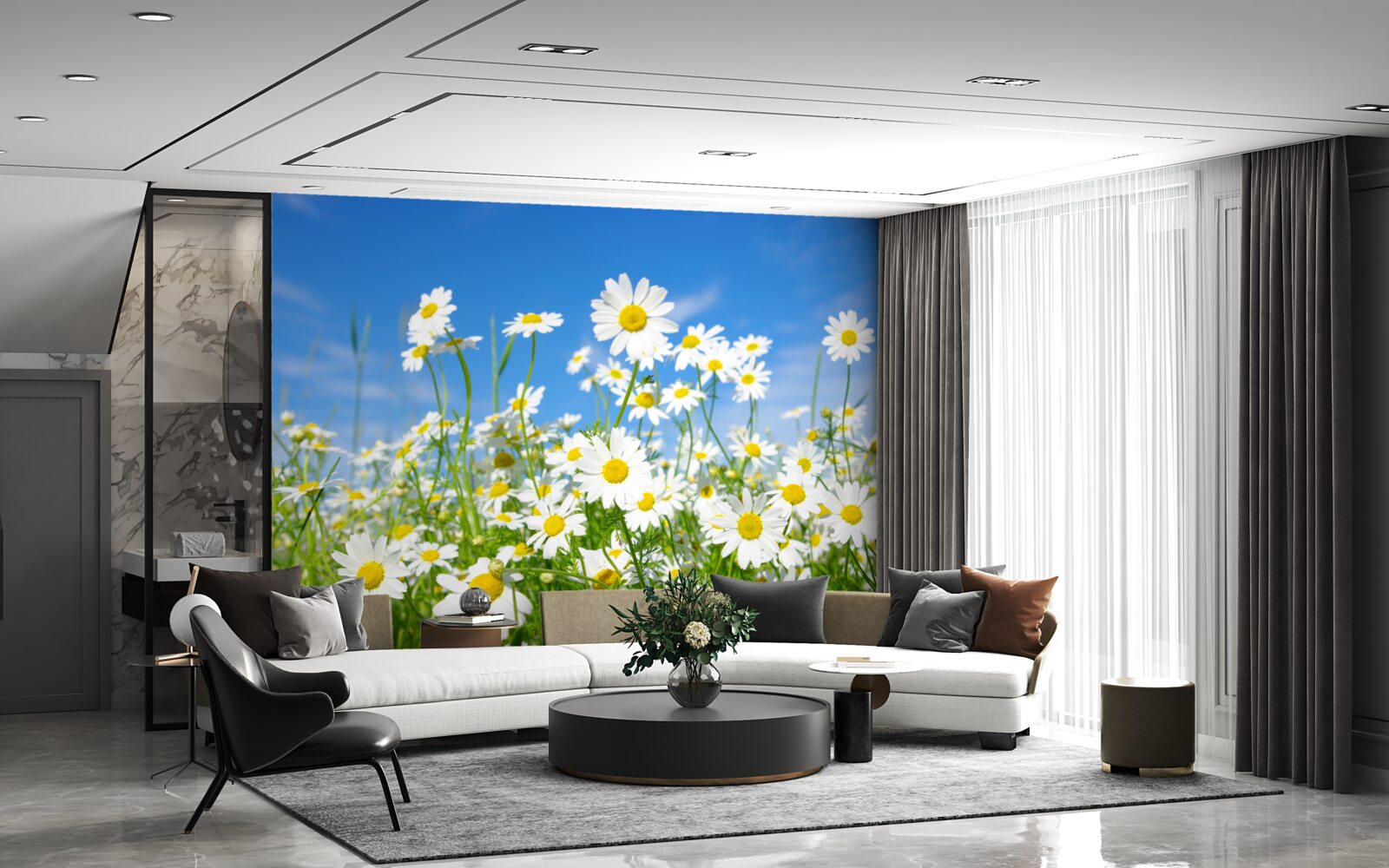 Fototapeta harmanček na lúke v letný deň