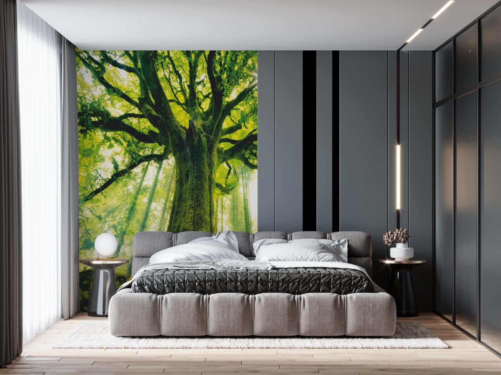 Fototapeta strom života v rannom lese