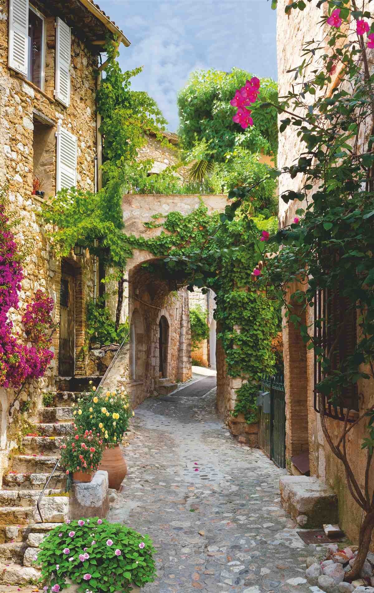 Fototapeta letná alej pri Jadranskom mori