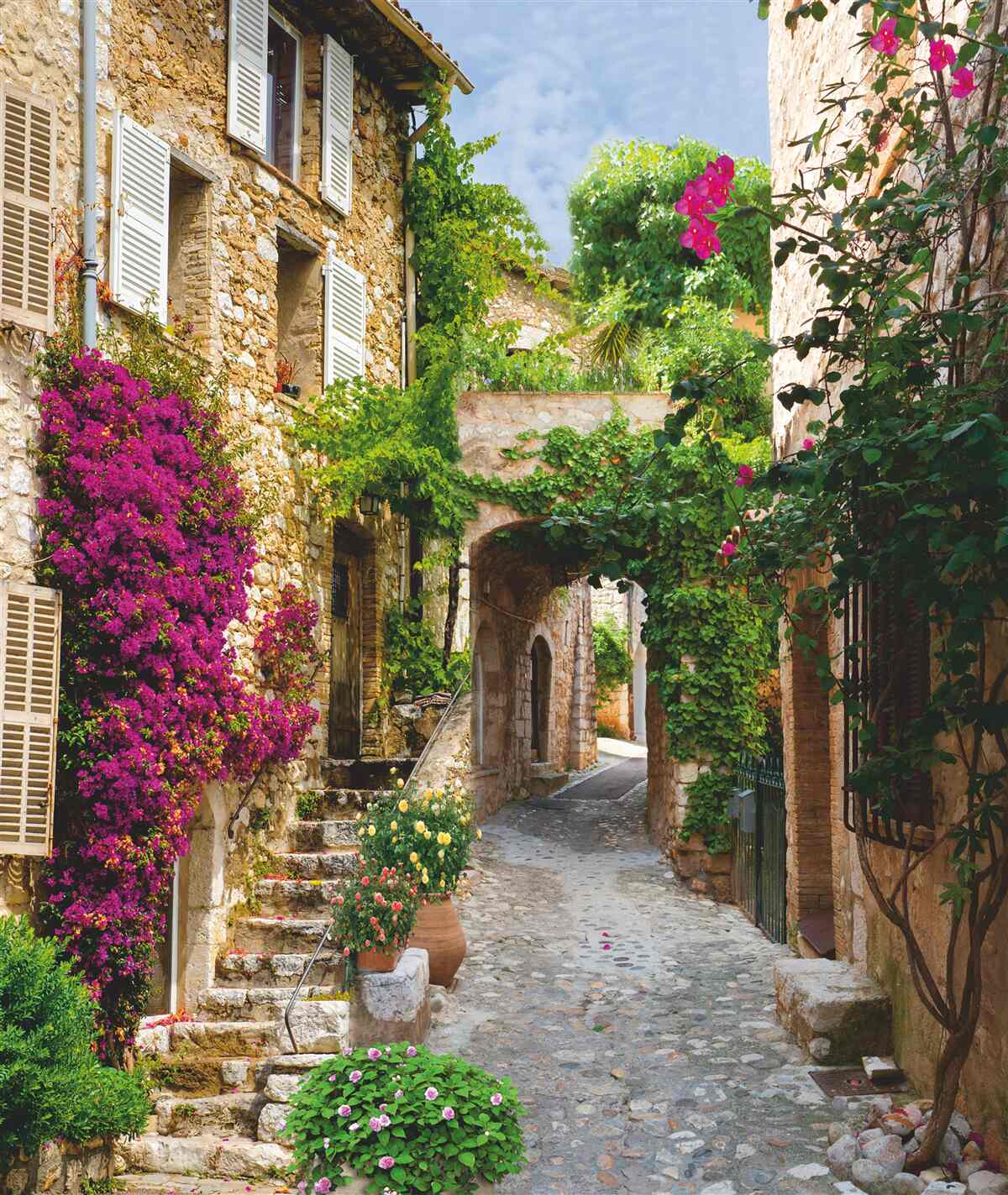 Fototapeta stará ulica ožíva rozkvitnutým brečtanom