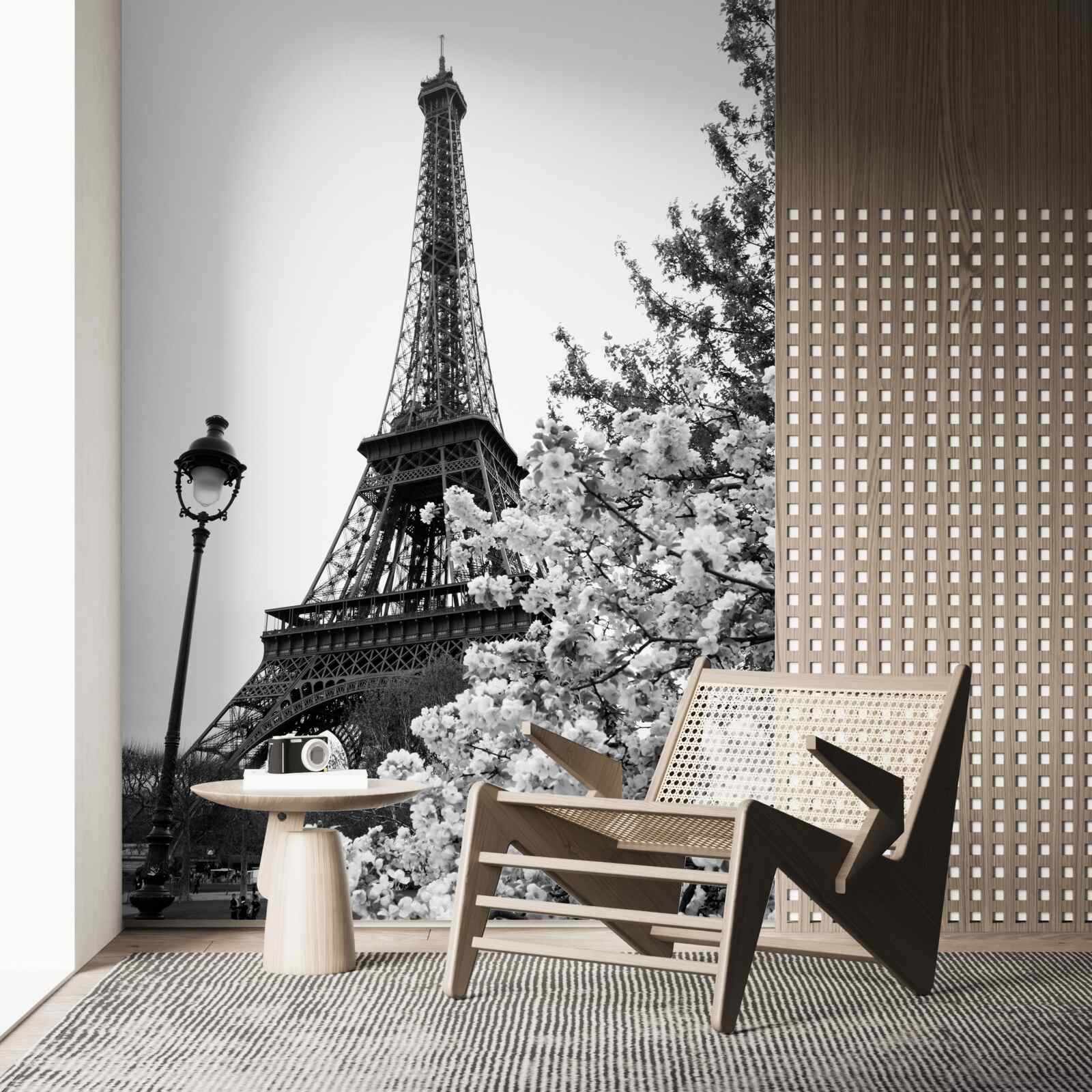 Fototapeta Eiffelova veža v čiernej a bielej