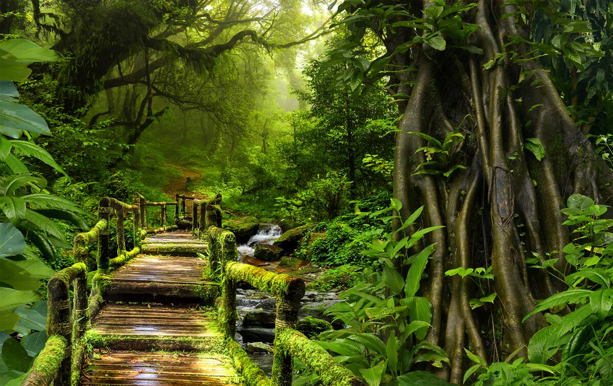 Fototapeta v ázijskej džungli je vodopád