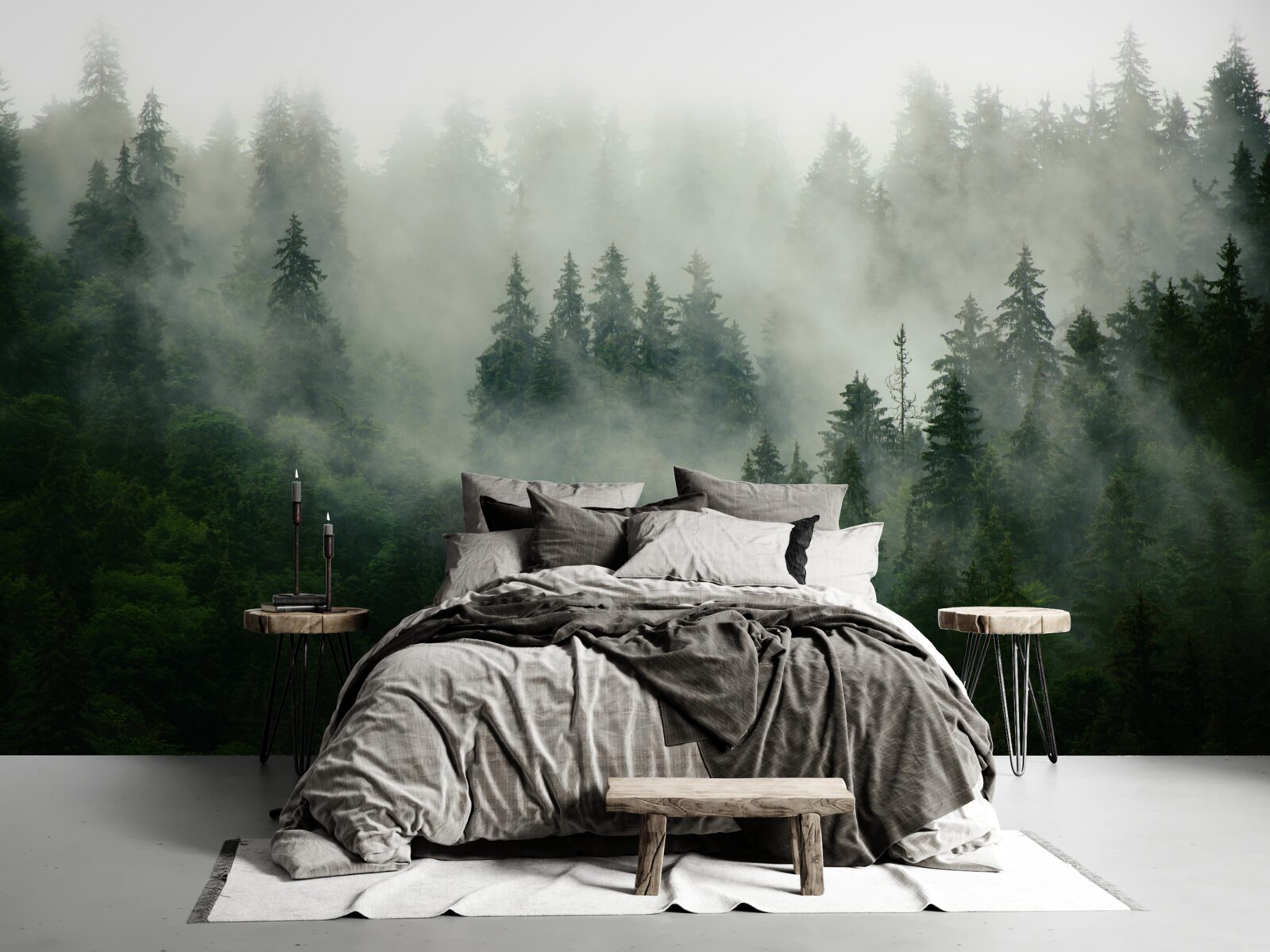 Fototapeta tma medzi smrekmi a borovicami