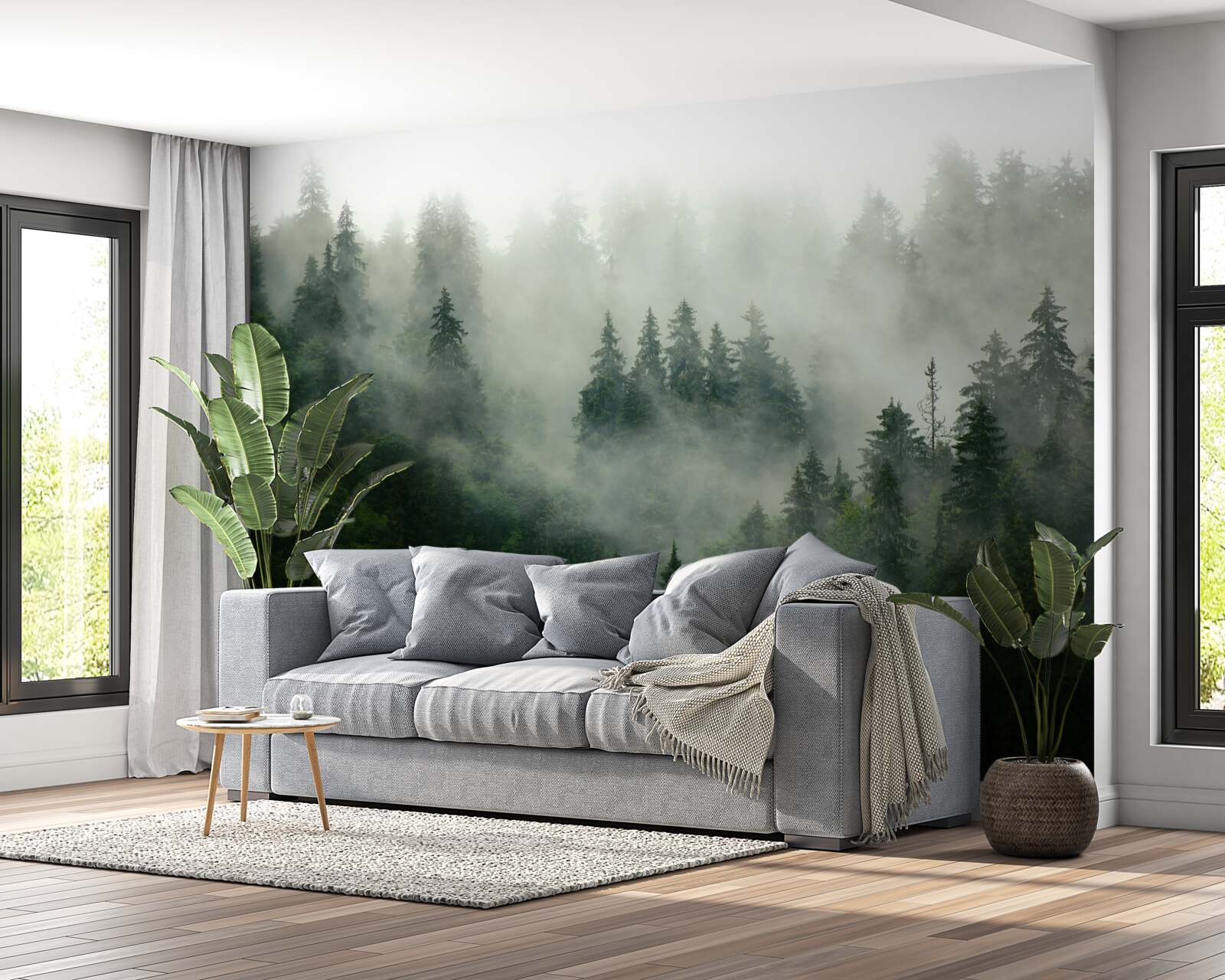 Fototapeta tma medzi smrekmi a borovicami