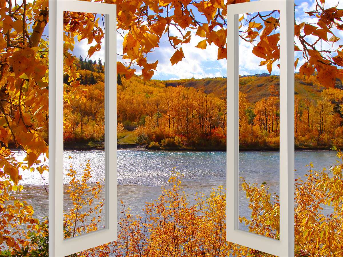 Fototapeta pohľad z okna do jesenného lesa