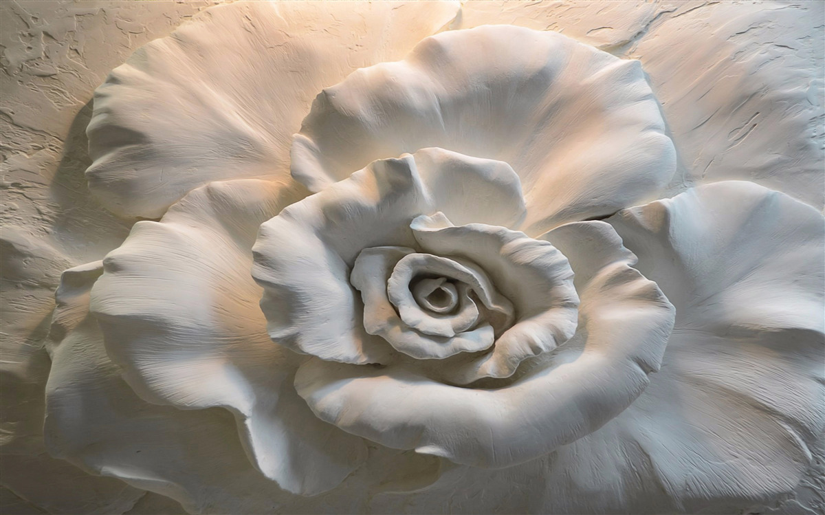 Fototapeta zblízka záber obrovskej bielej ruže