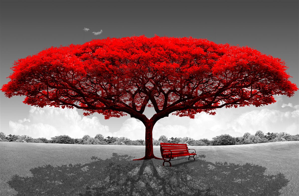 Fototapeta Život je červený strom v šedom priestore čistinky