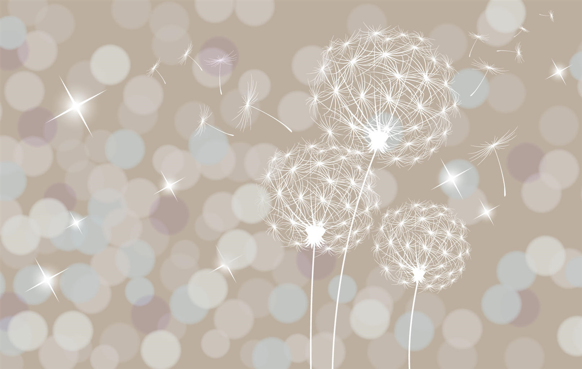 Fototapeta okvetný lístok púpavy, ľahký ako pierko