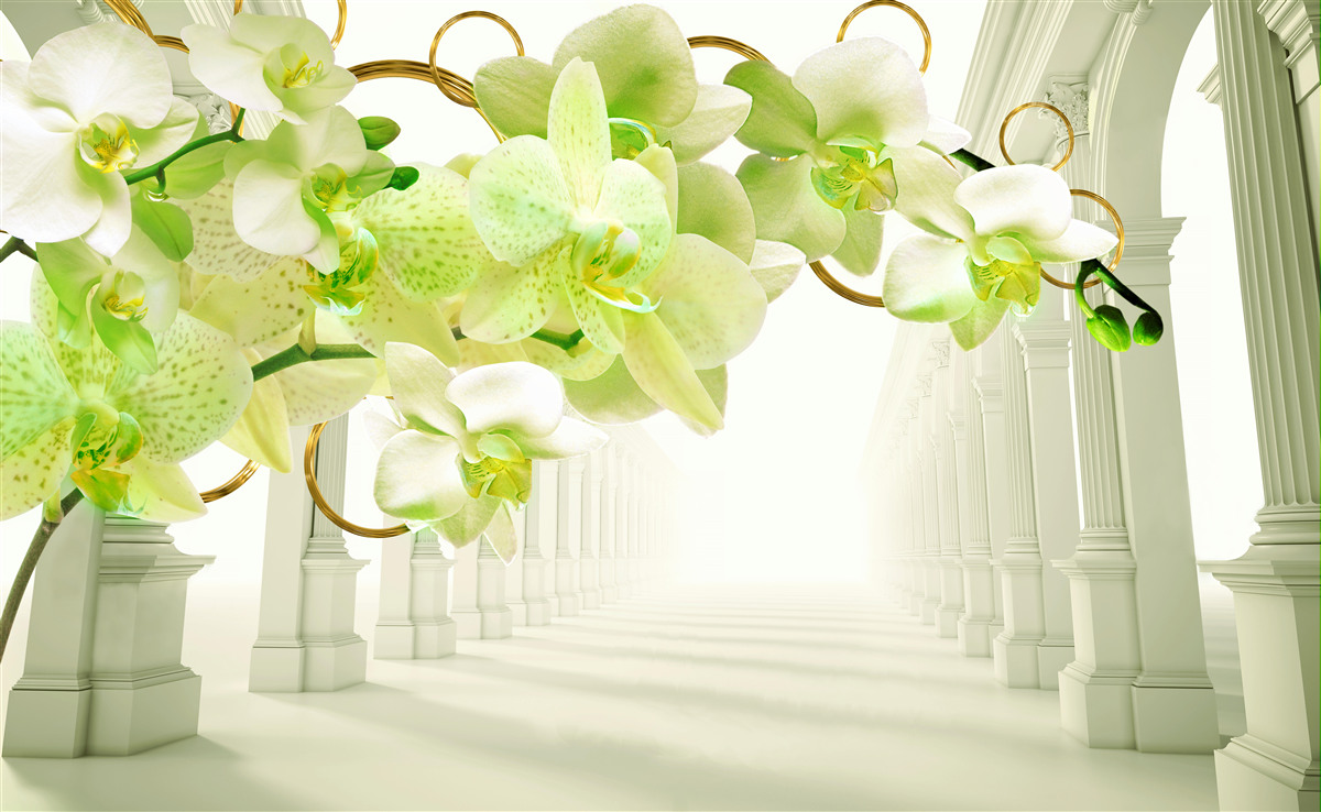 Fototapeta biela a zelená orchidea na pozadí bielych stĺpov