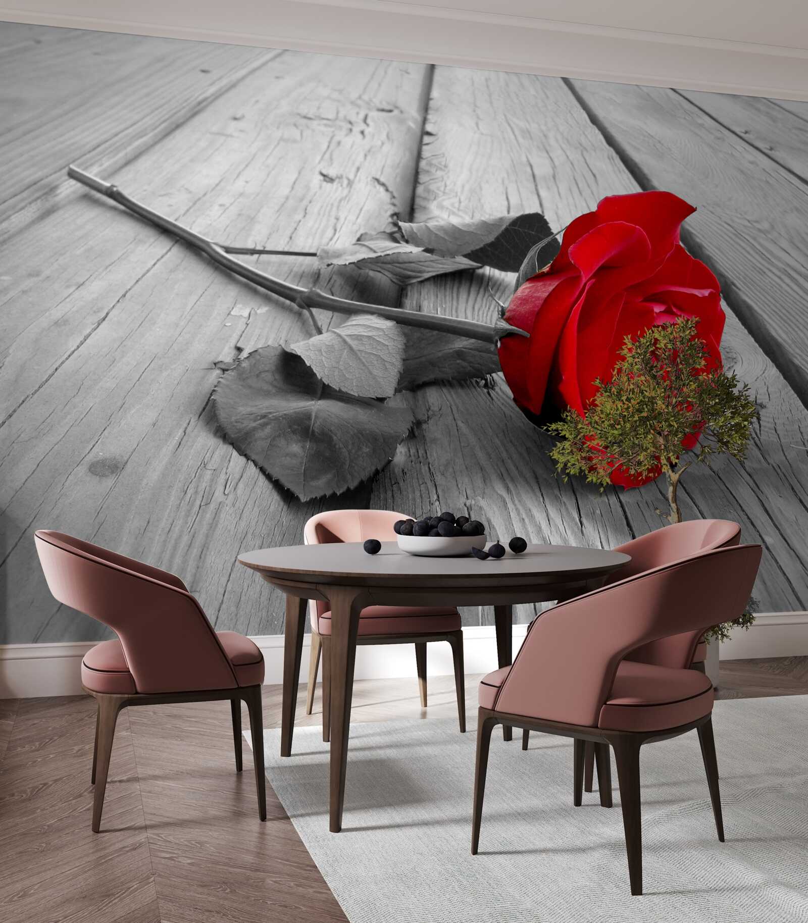 Fototapeta na sivom podklade rozkvitla červená ruža