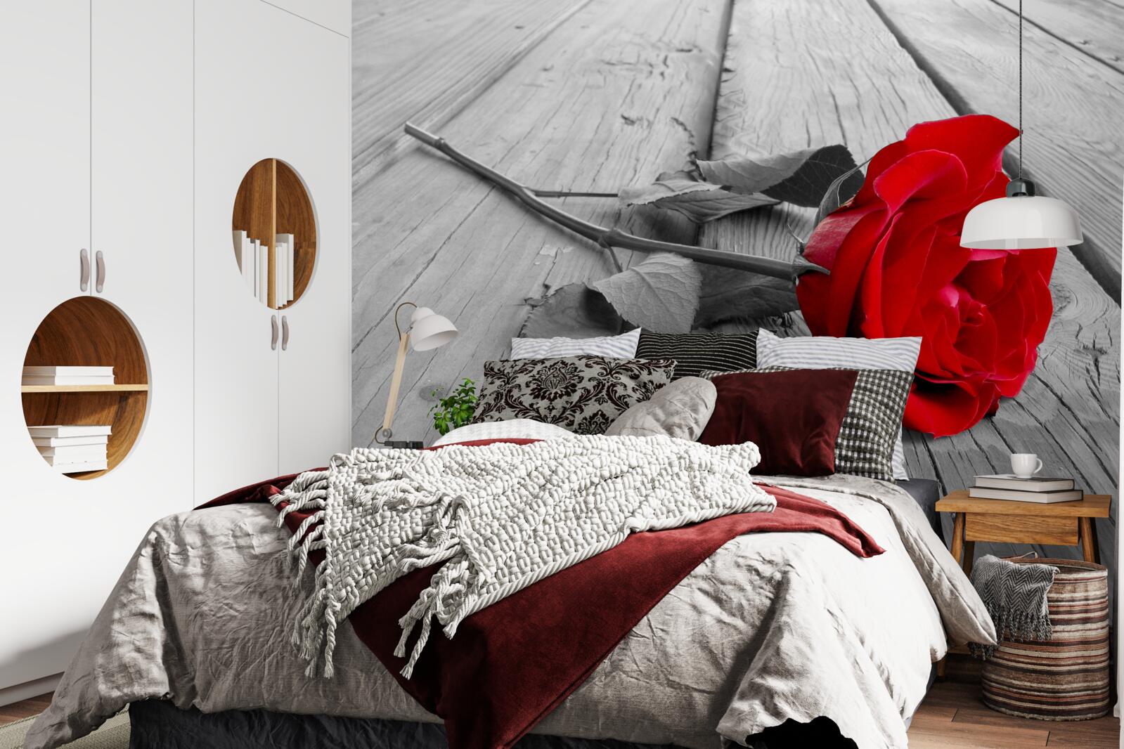 Fototapeta na sivom podklade rozkvitla červená ruža