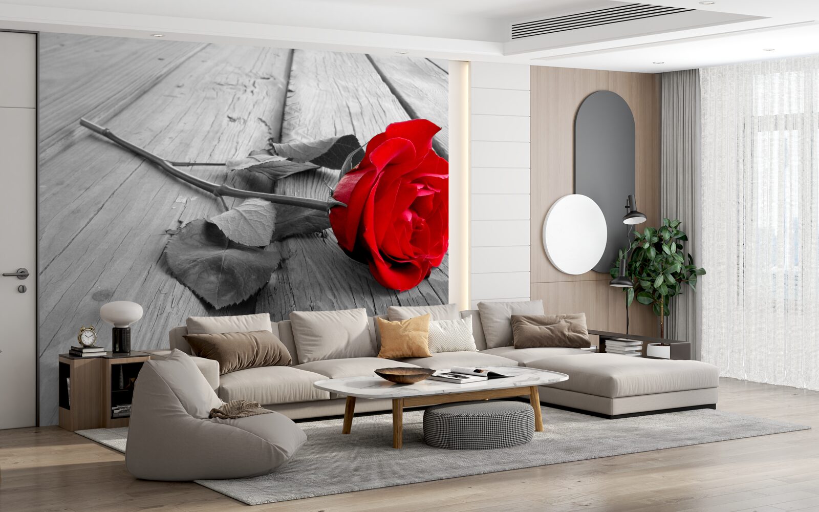 Fototapeta na sivom podklade rozkvitla červená ruža