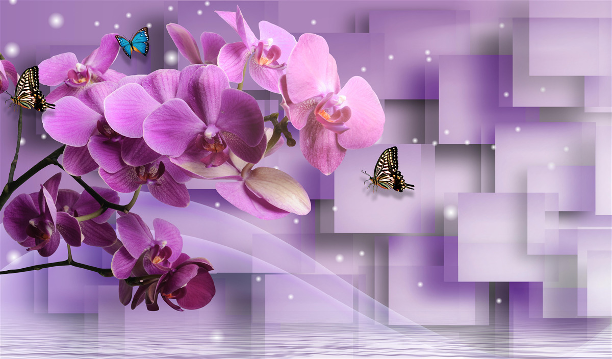 Fototapeta zloženie tenkých orchideí a motýľov