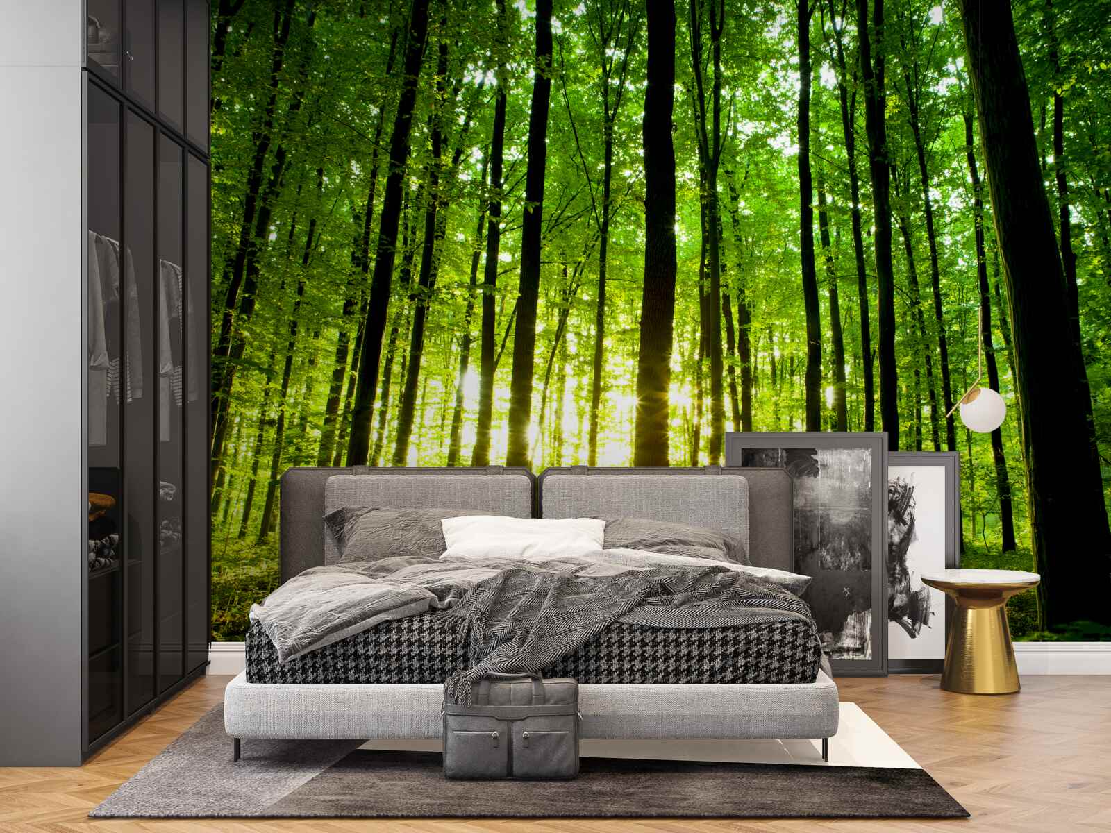 Fototapeta slnečné lúče prenikajú hustým hájom