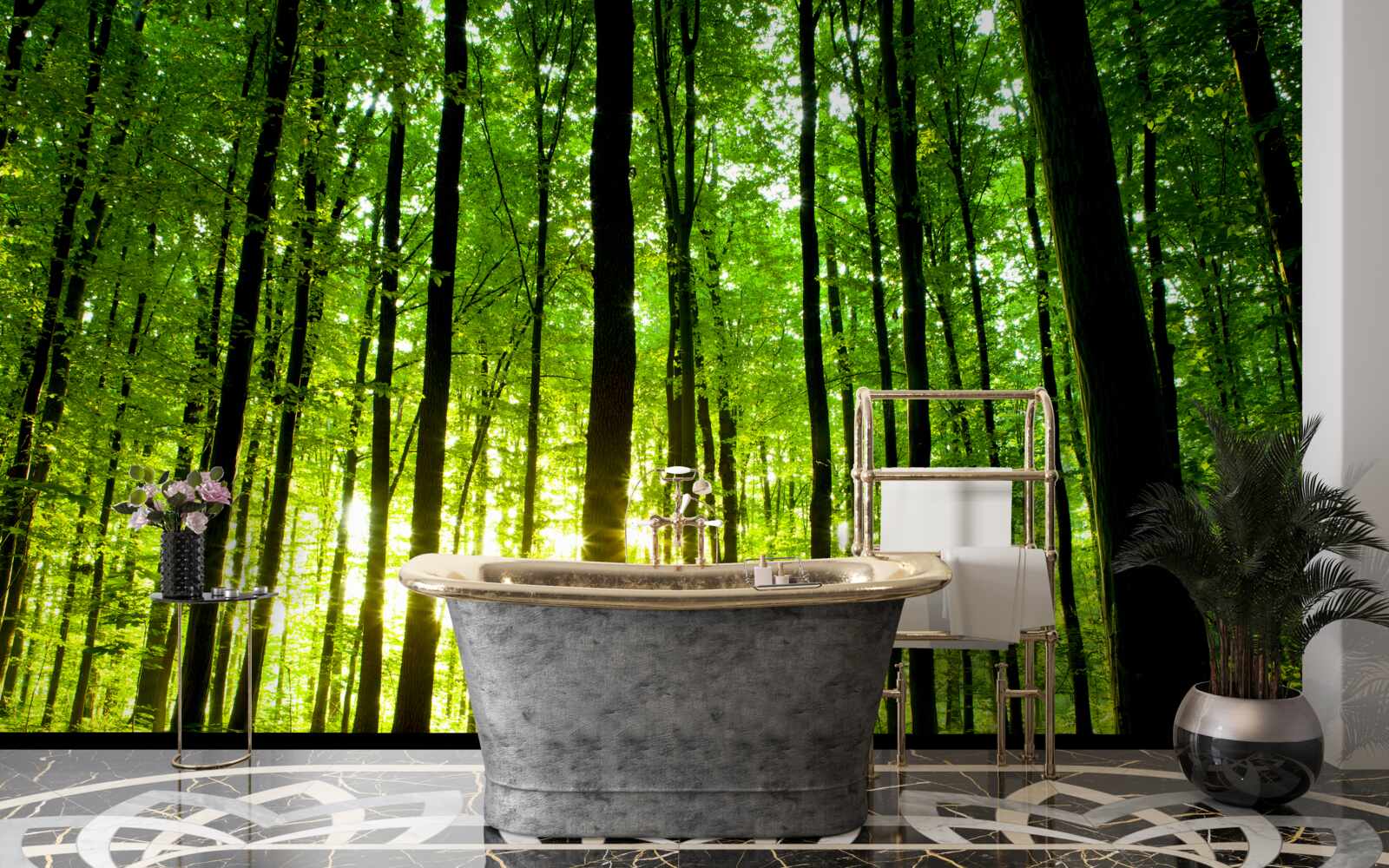 Fototapeta slnečné lúče prenikajú hustým hájom