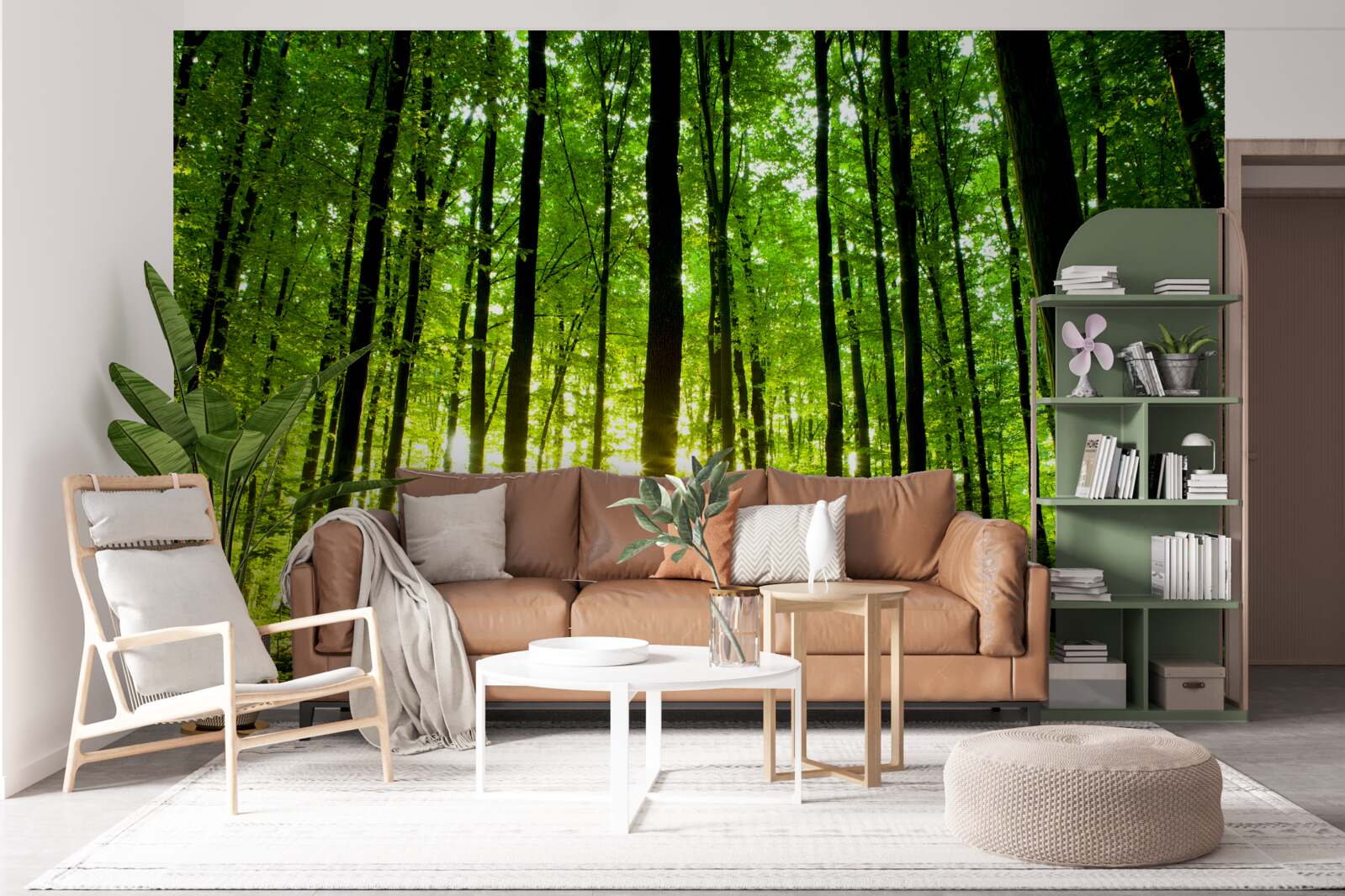 Fototapeta slnečné lúče prenikajú hustým hájom