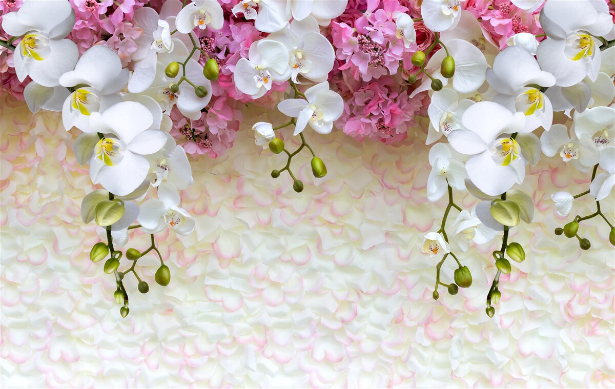 Fototapeta konáre rôznych orchideí idú dole