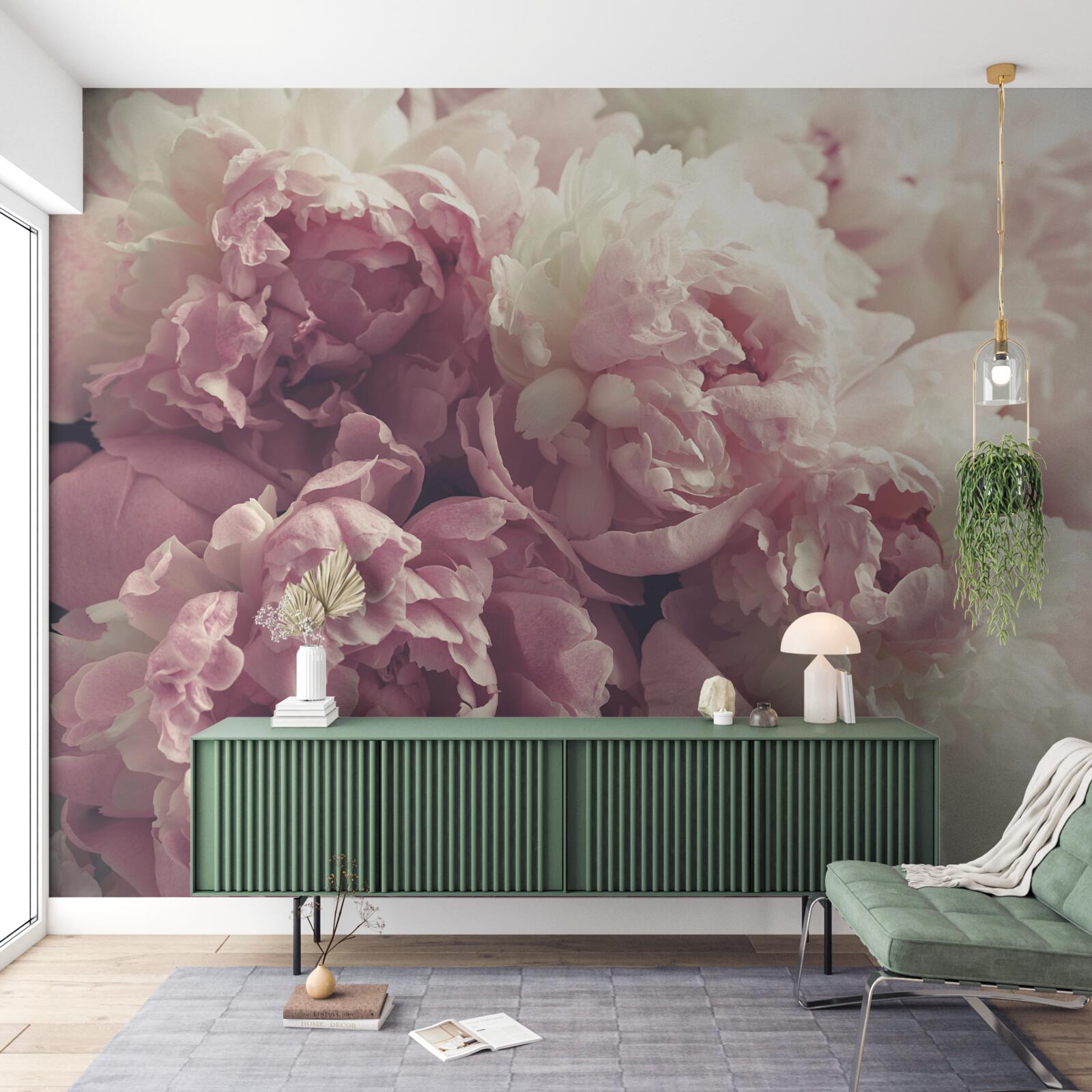 Fototapeta Oblúk ružových pivoniek