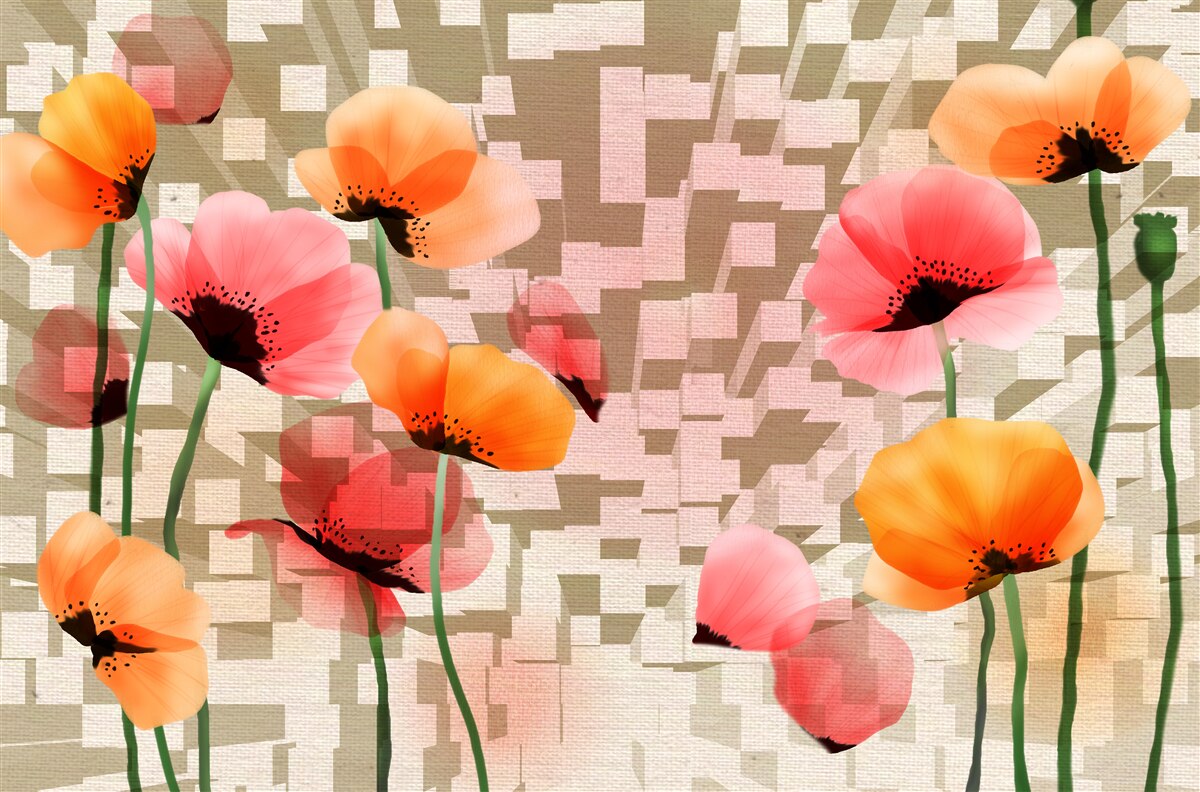 Fototapeta sada ružových a broskyňových makov