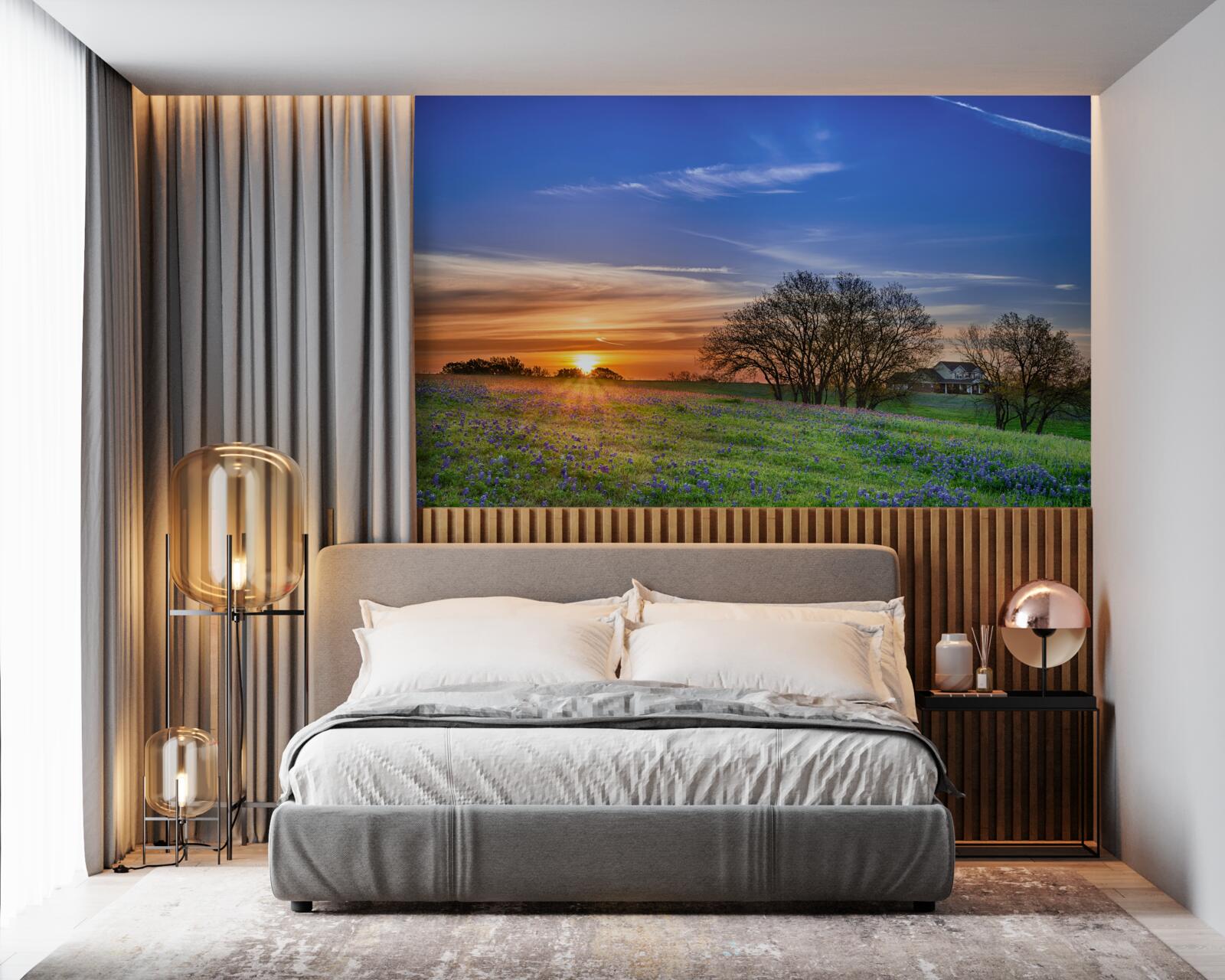 Fototapeta slnko zapadá nad poľom obsypaným kvetmi