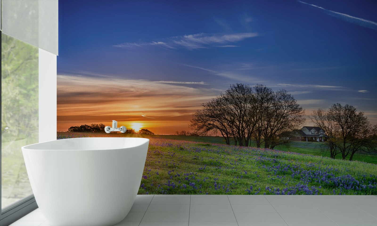 Fototapeta slnko zapadá nad poľom obsypaným kvetmi