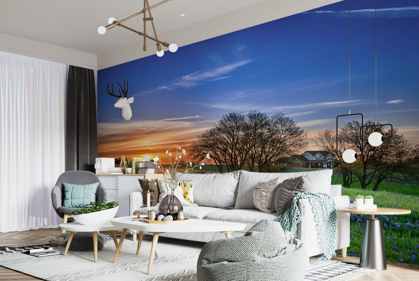 Fototapeta slnko zapadá nad poľom obsypaným kvetmi